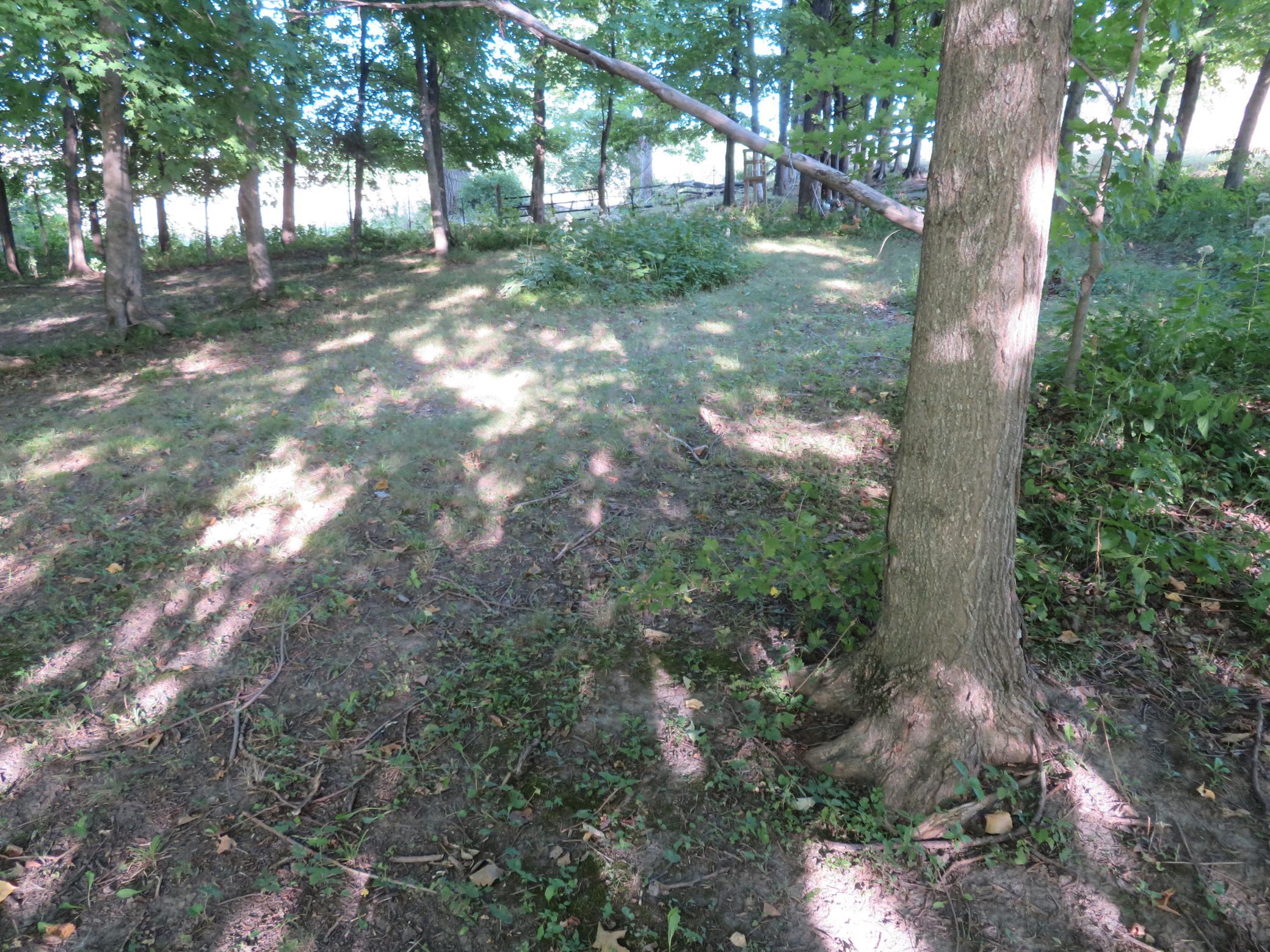 main property photo 116