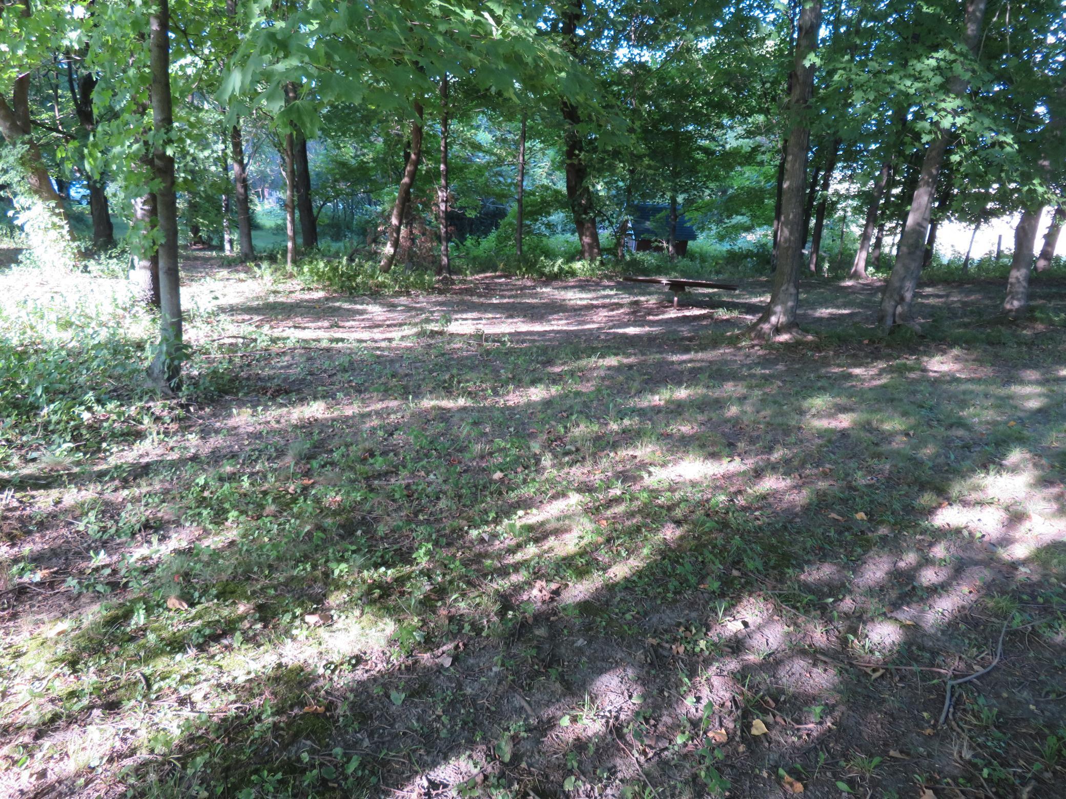 main property photo 117