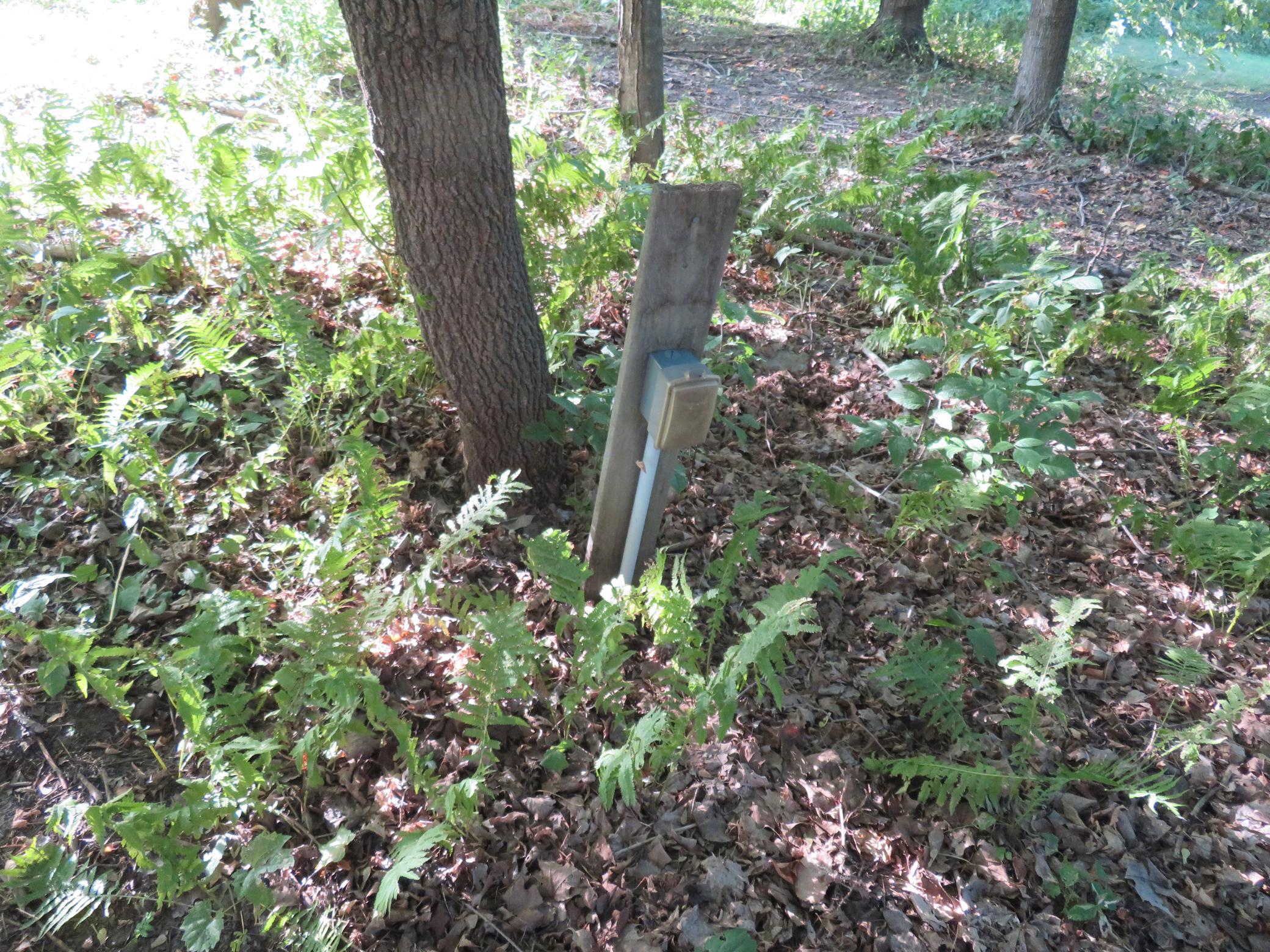 main property photo 119