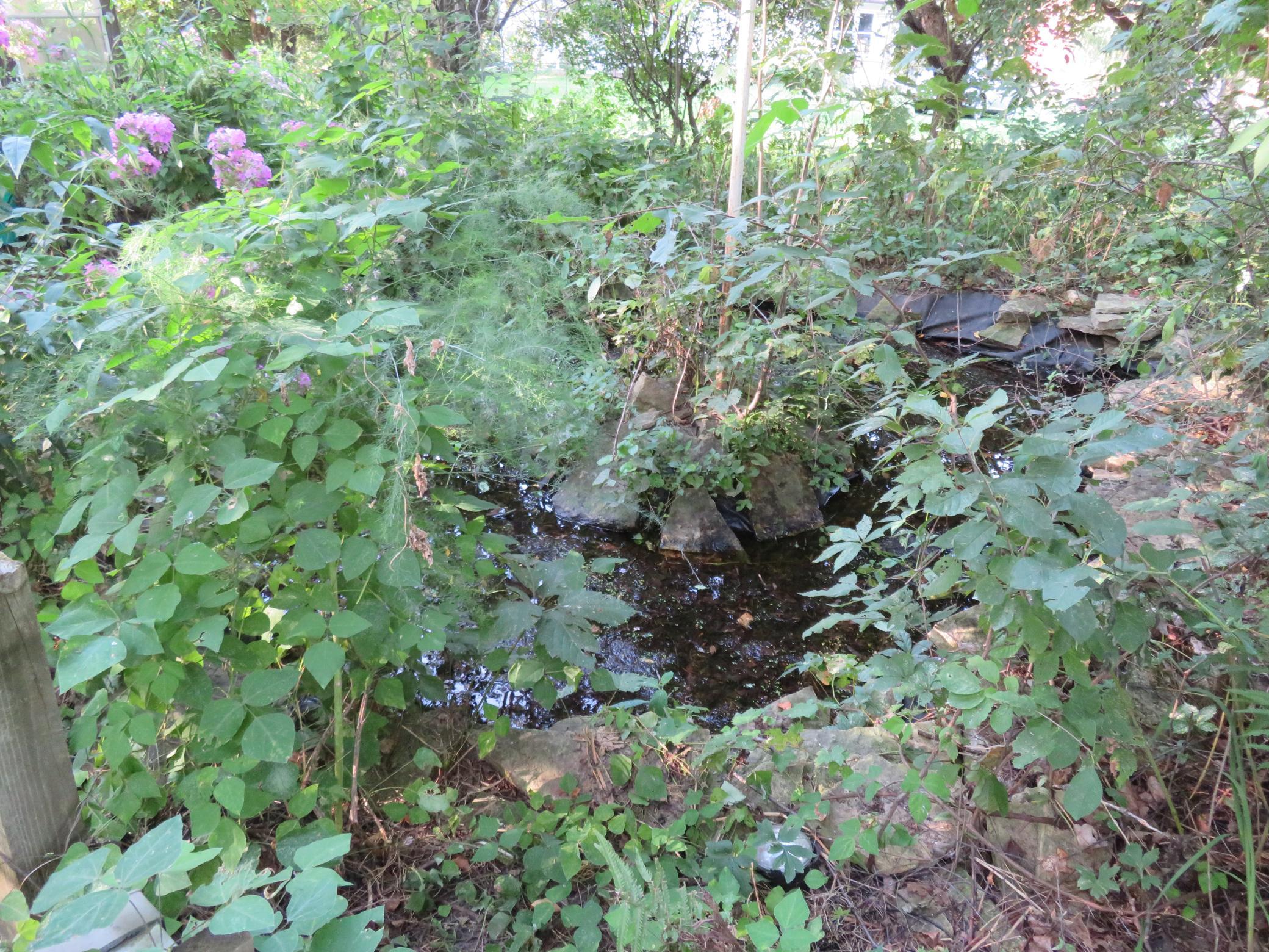 main property photo 124