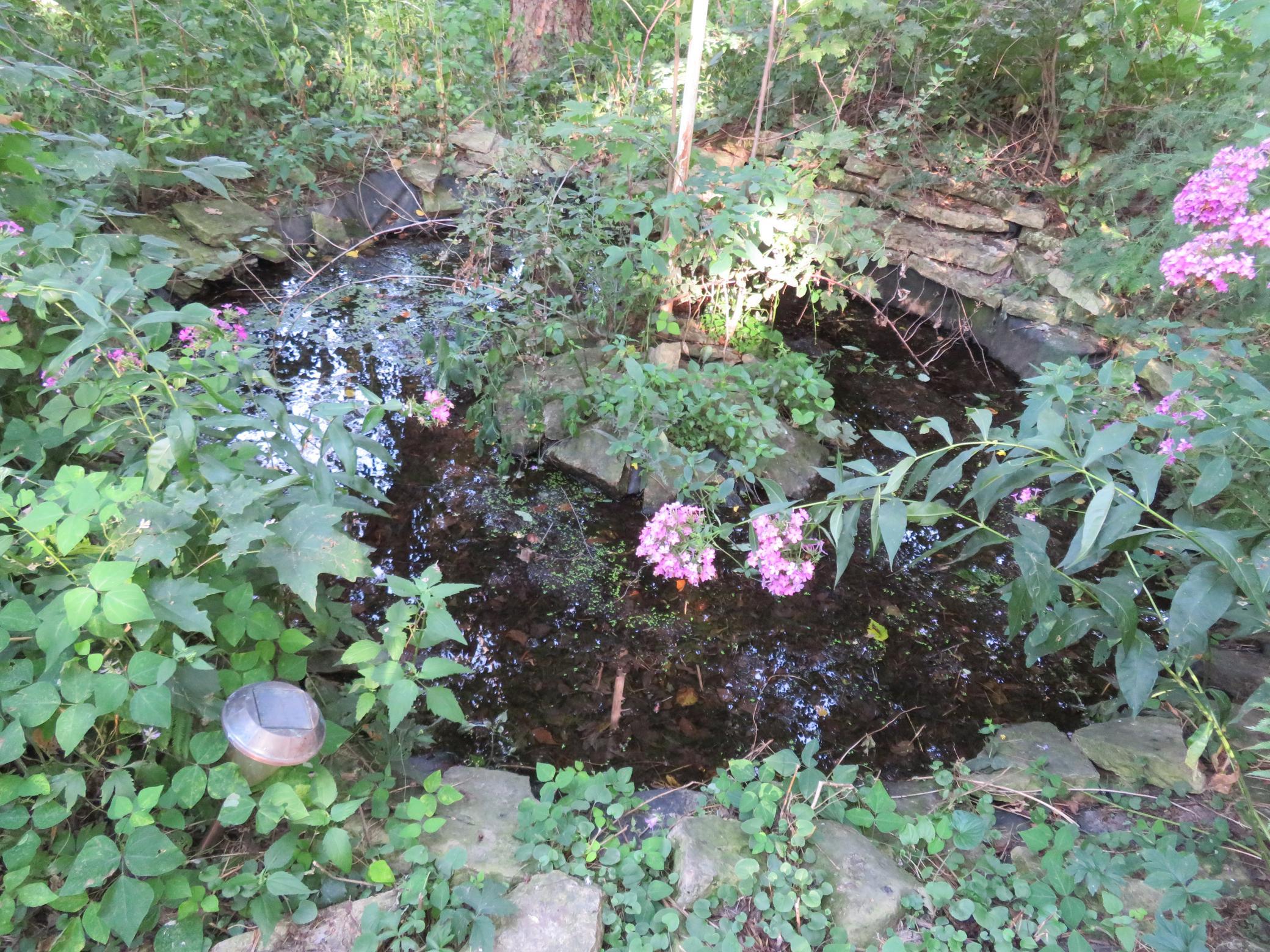 main property photo 127