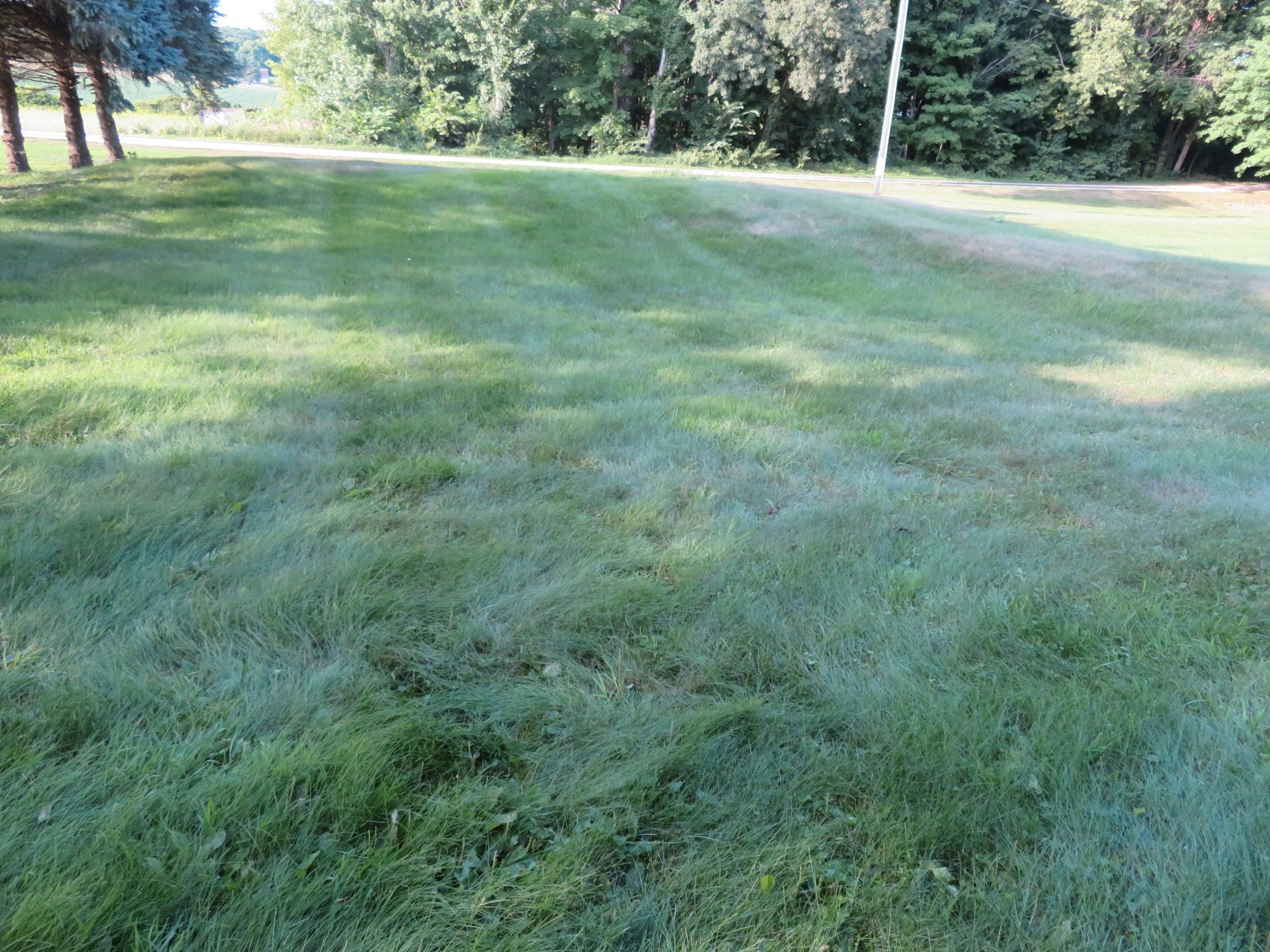 main property photo 136