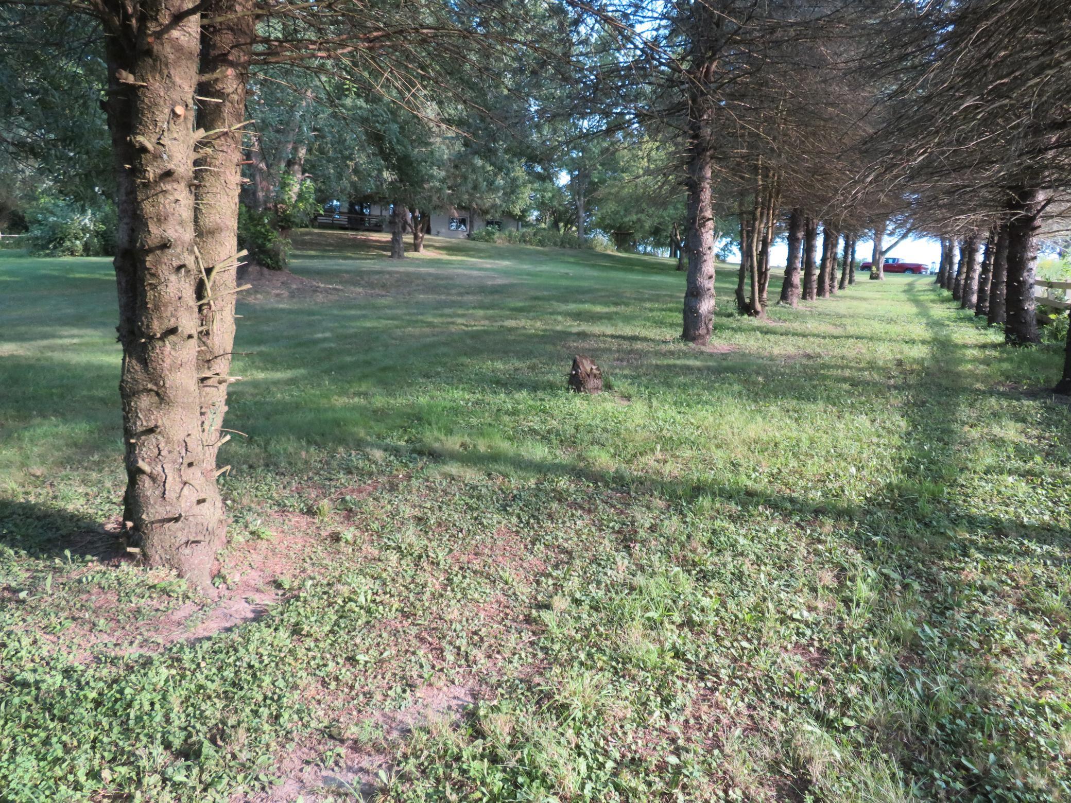 main property photo 149