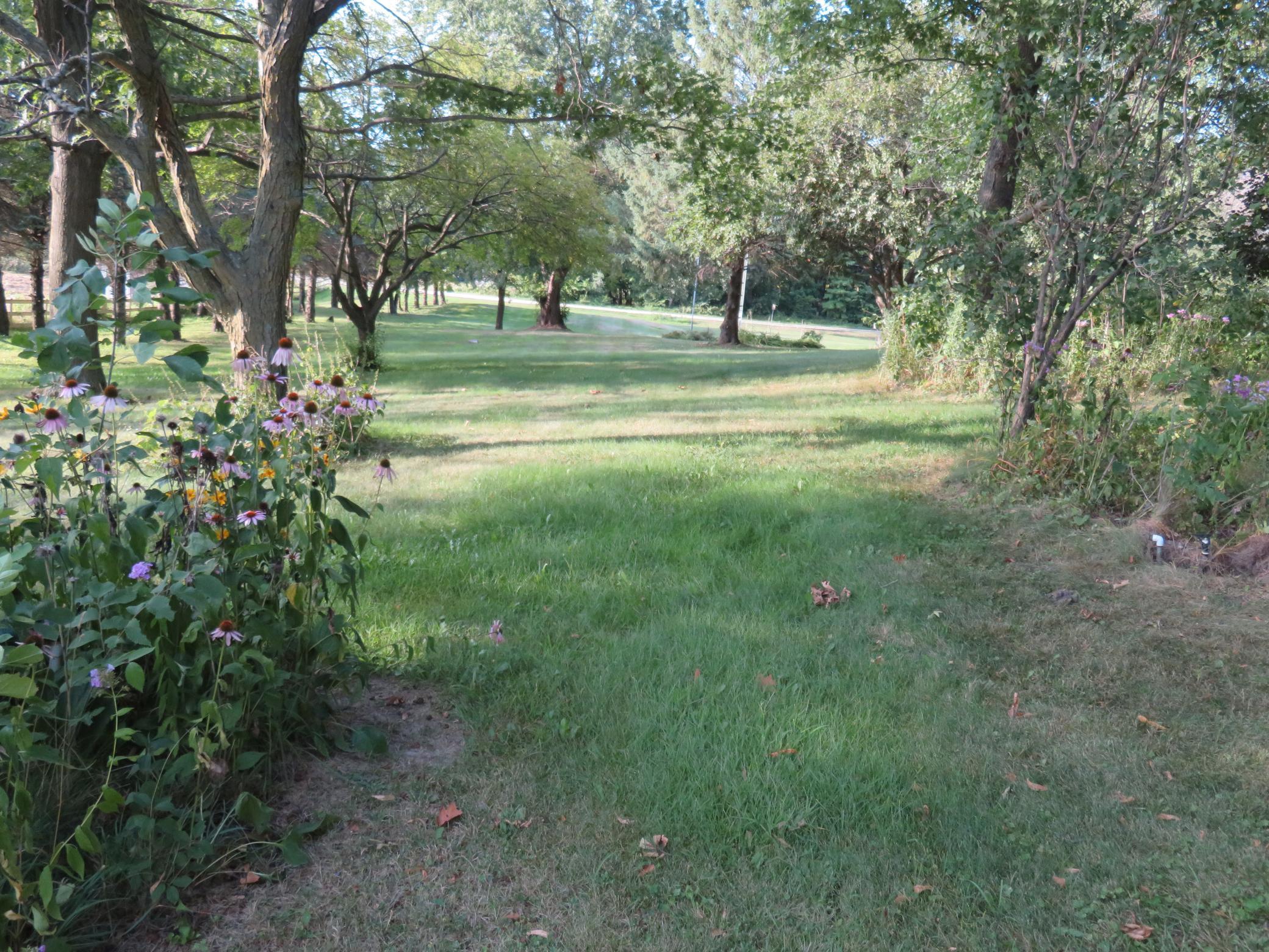main property photo 152