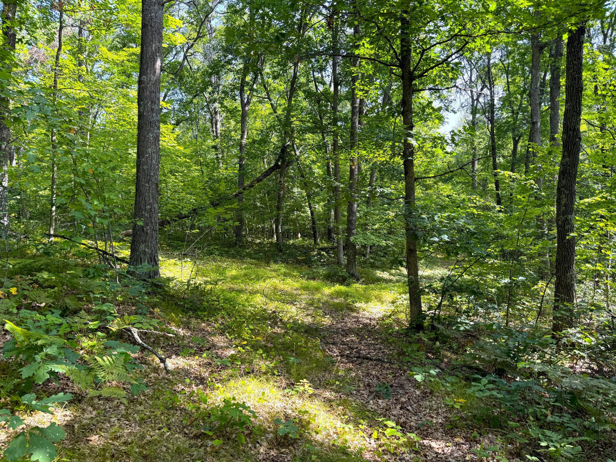 main property photo 11