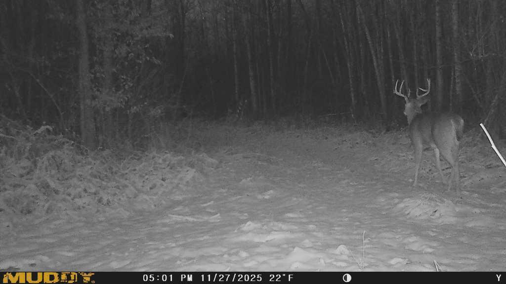 main property photo 22