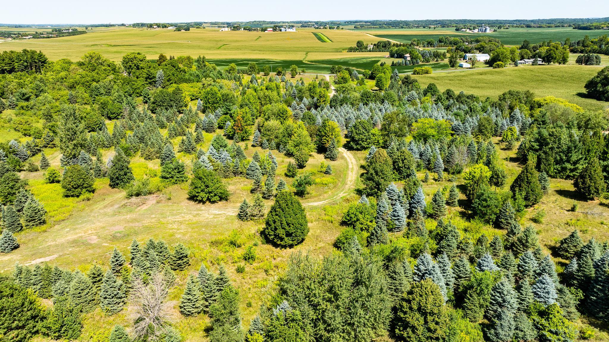 main property photo 9