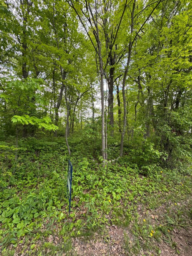 main property photo 0