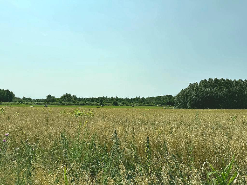 main property photo 56