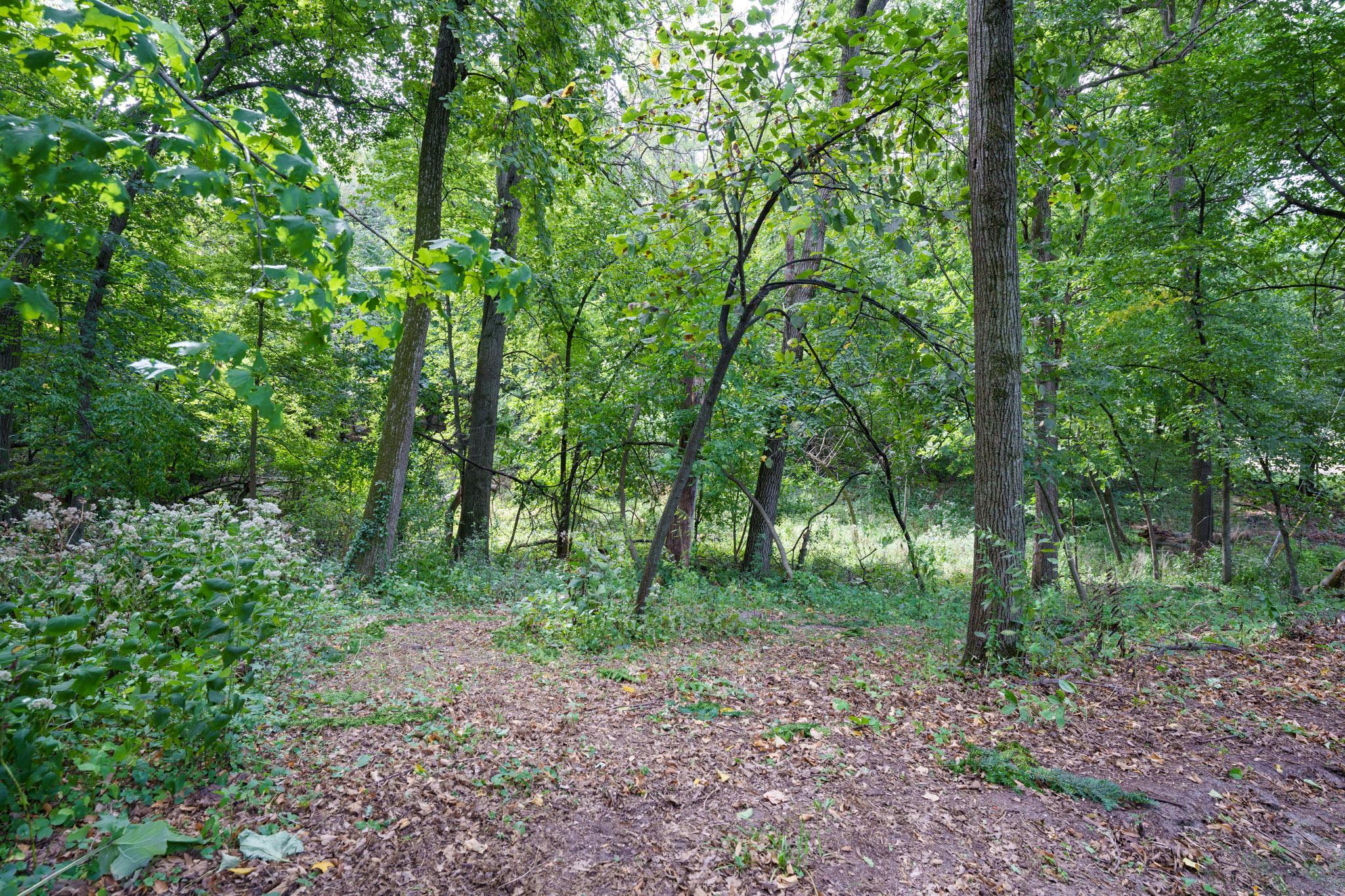 main property photo 73