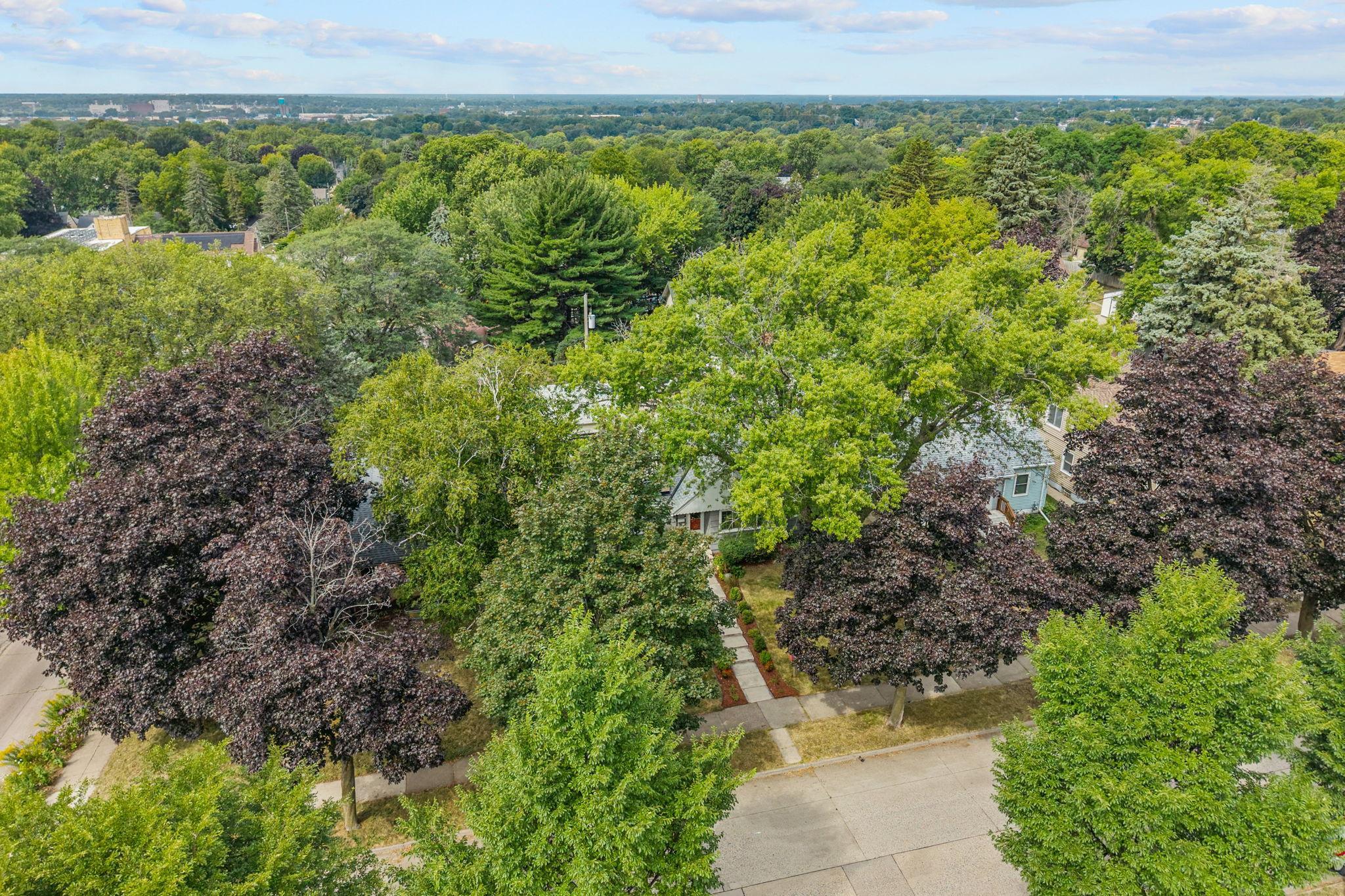 main property photo 59