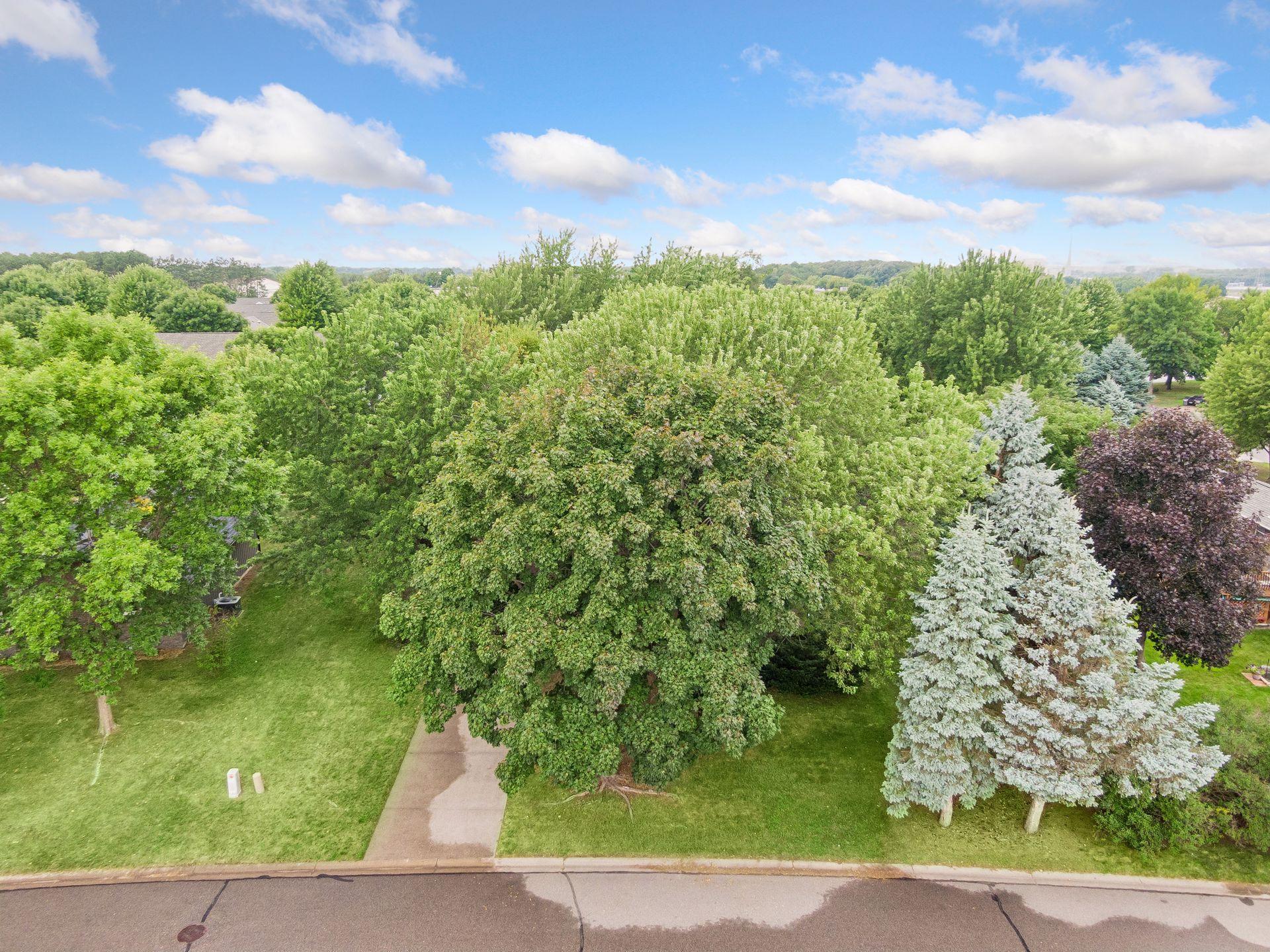 main property photo 36