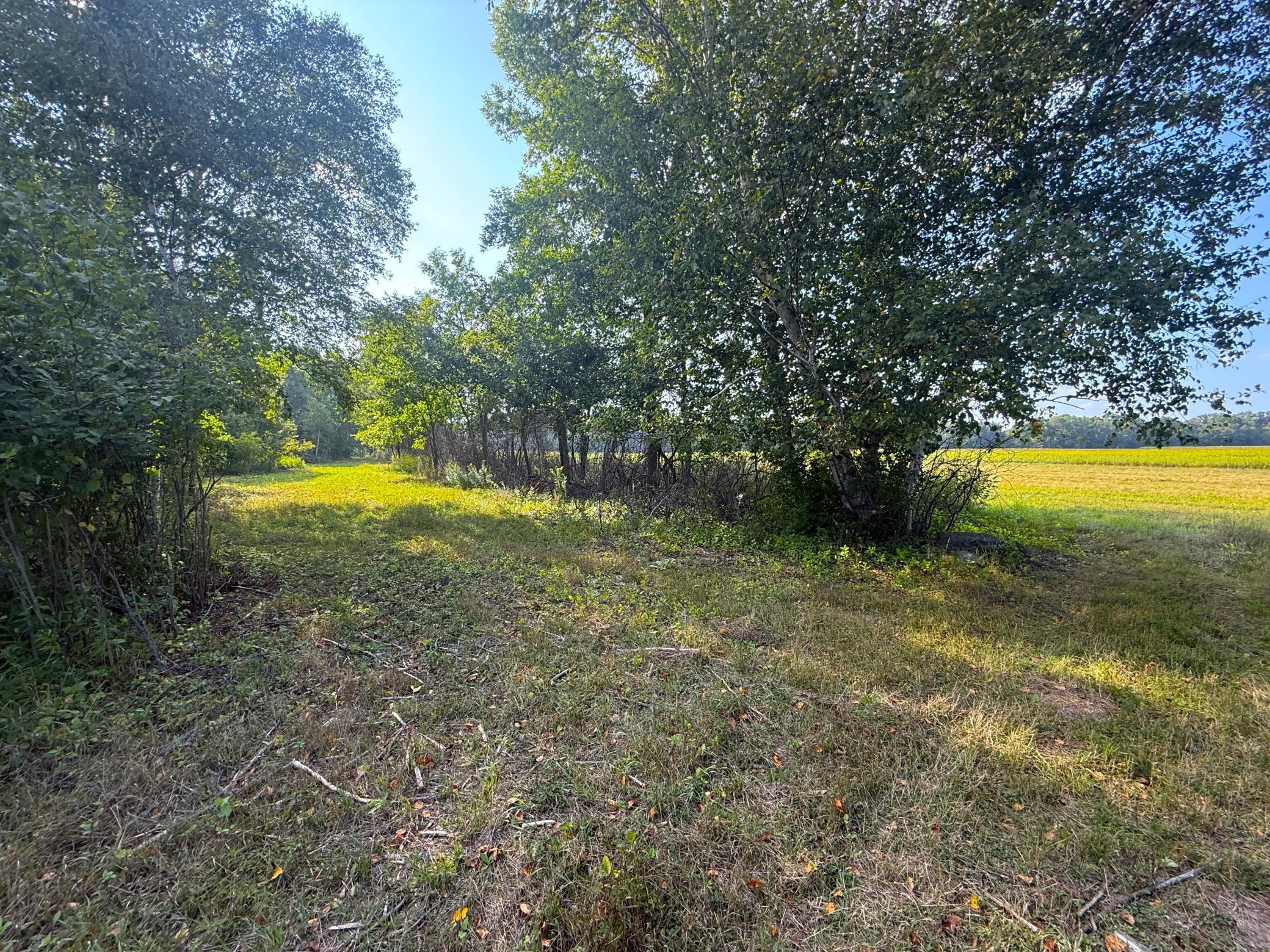 main property photo 10