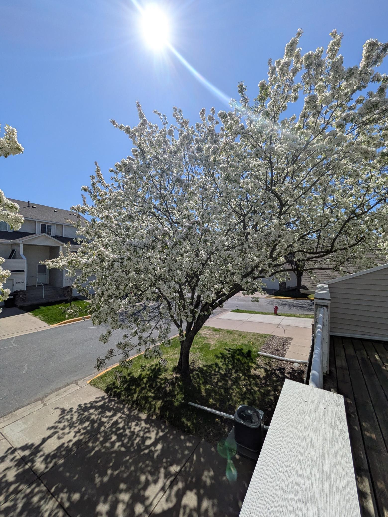 main property photo 22