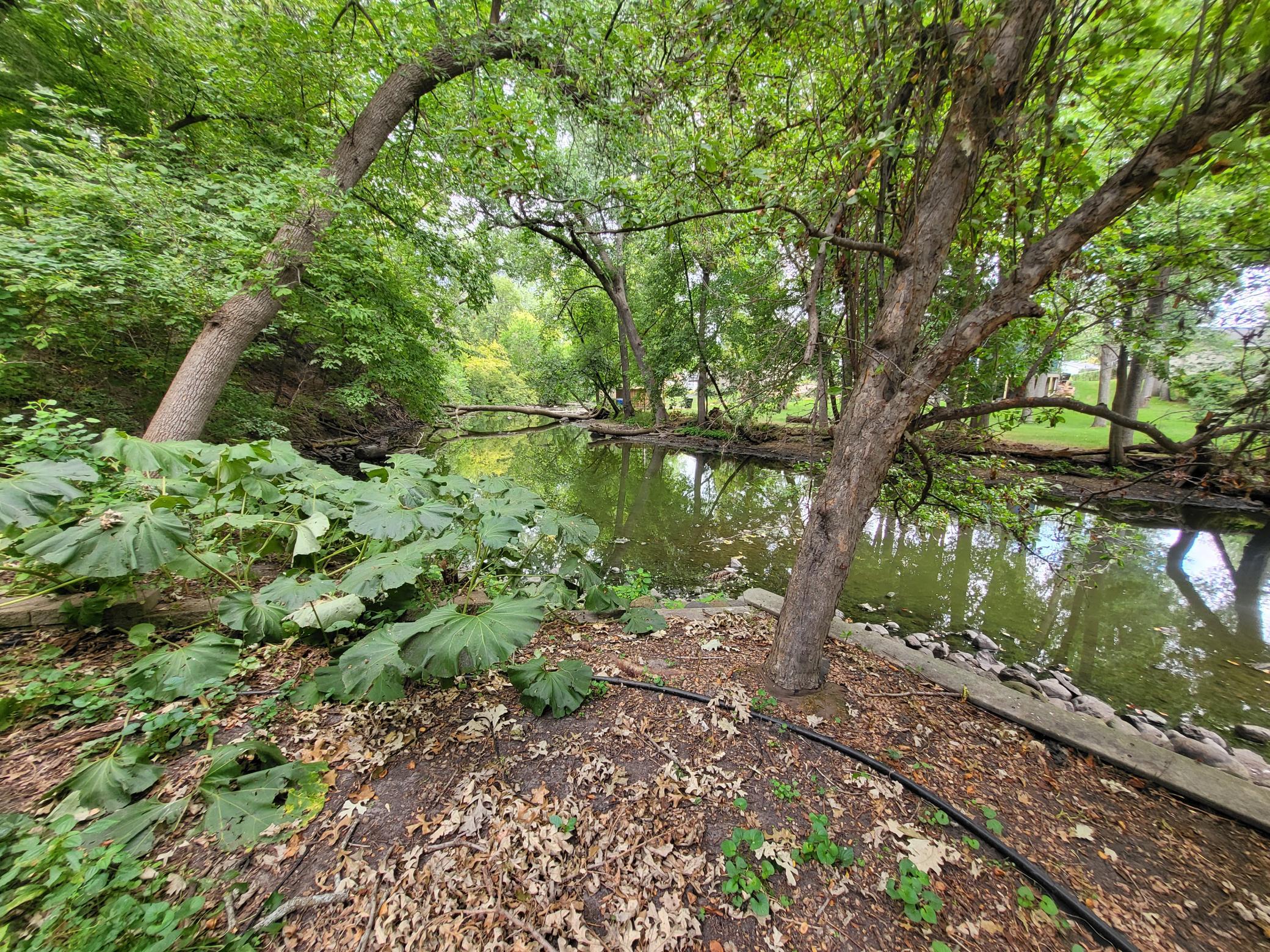 main property photo 38