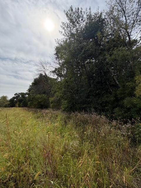 main property photo 10