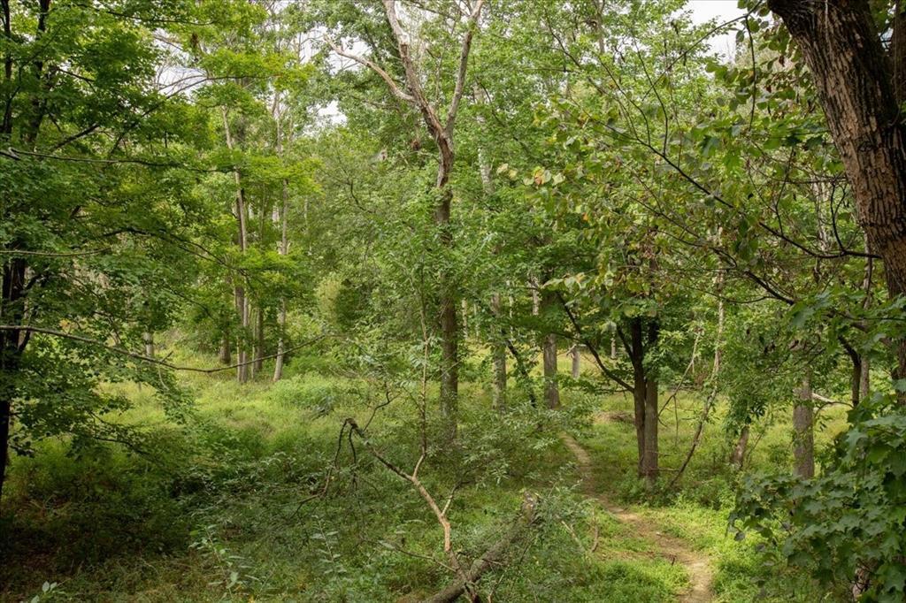 main property photo 50