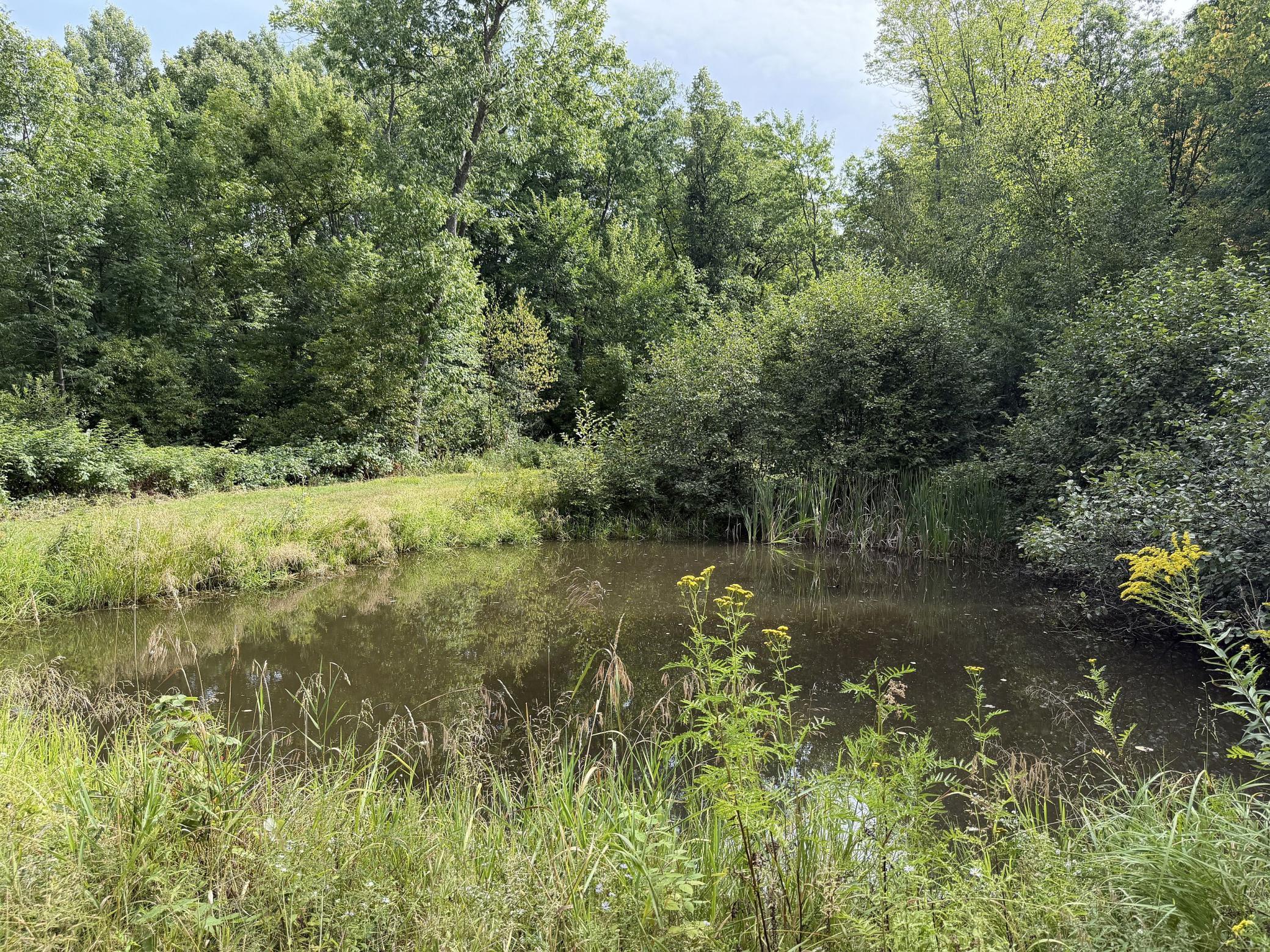 main property photo 50