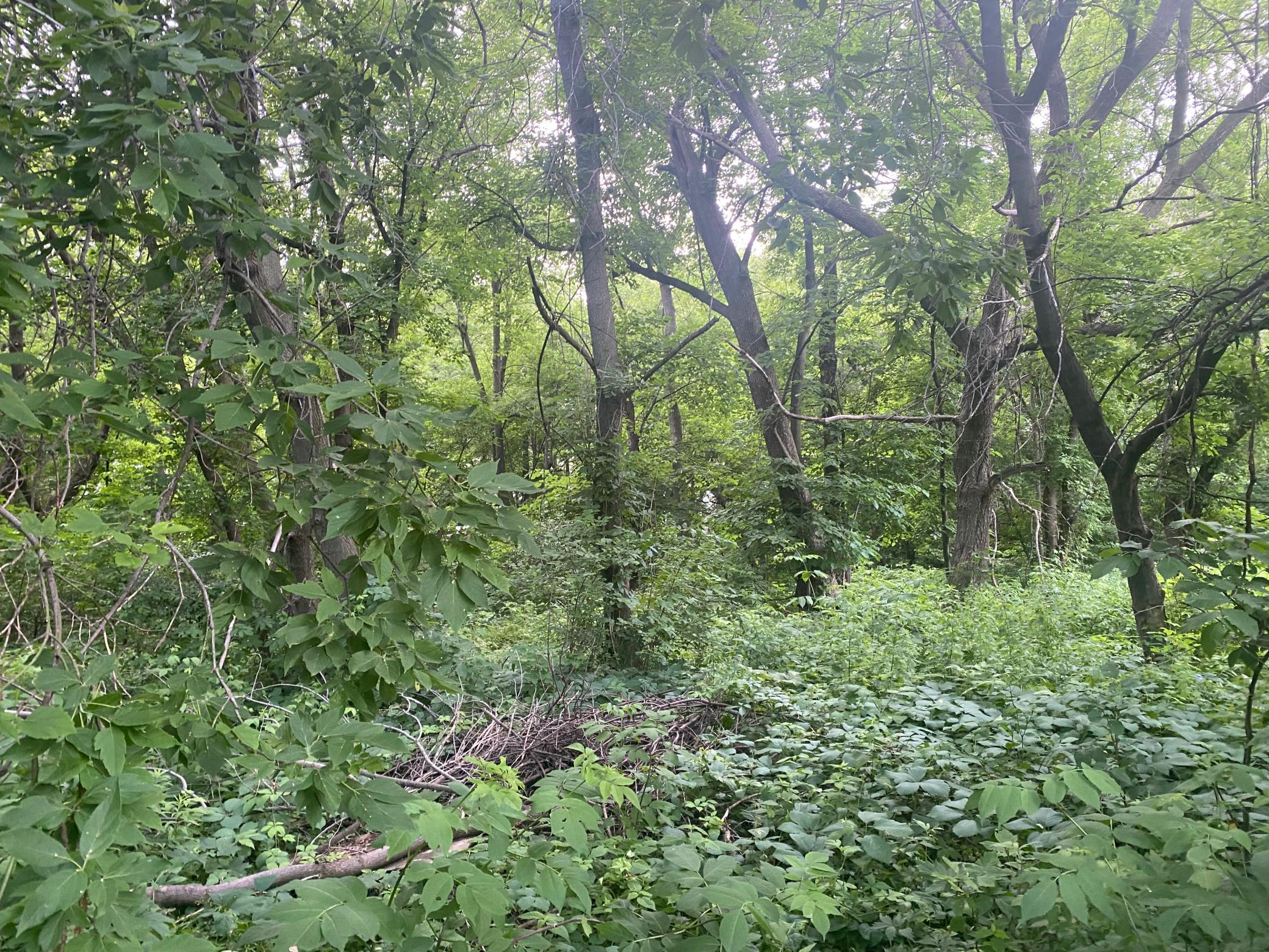 main property photo 8