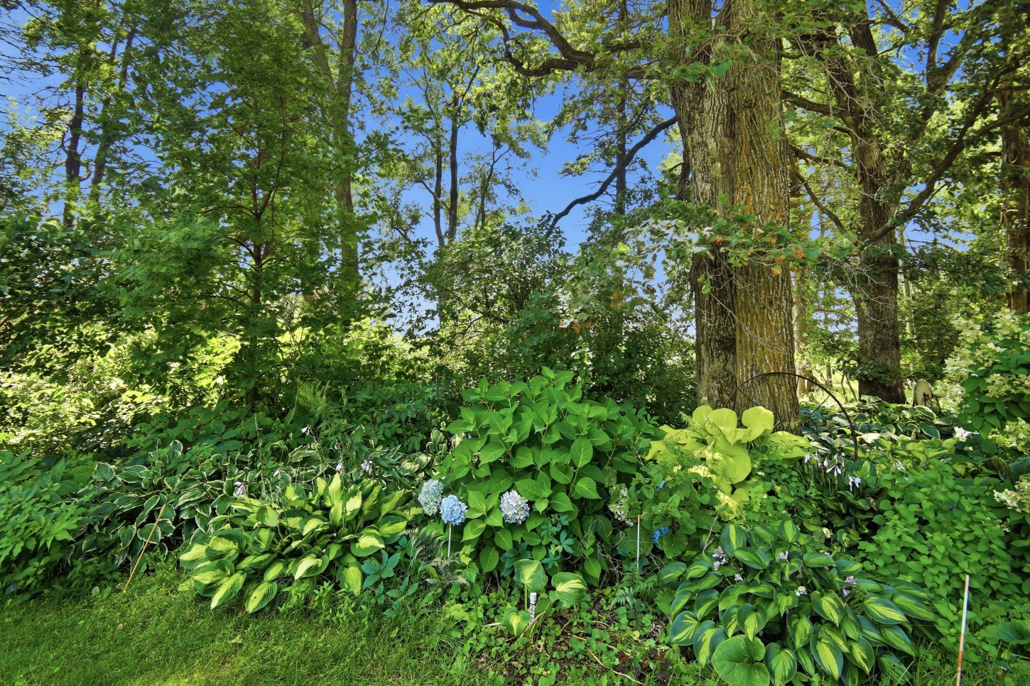 main property photo 68
