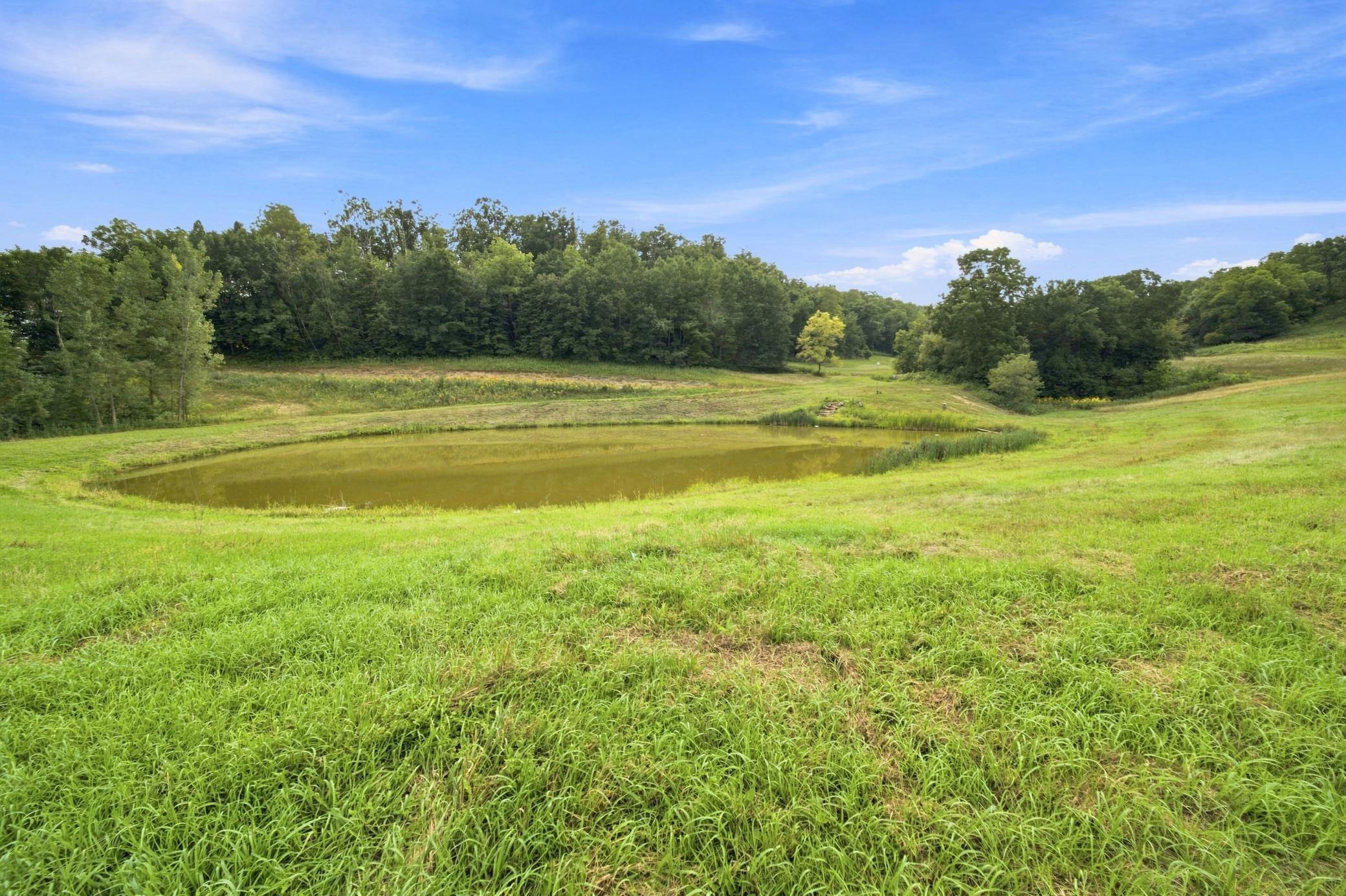 main property photo 93
