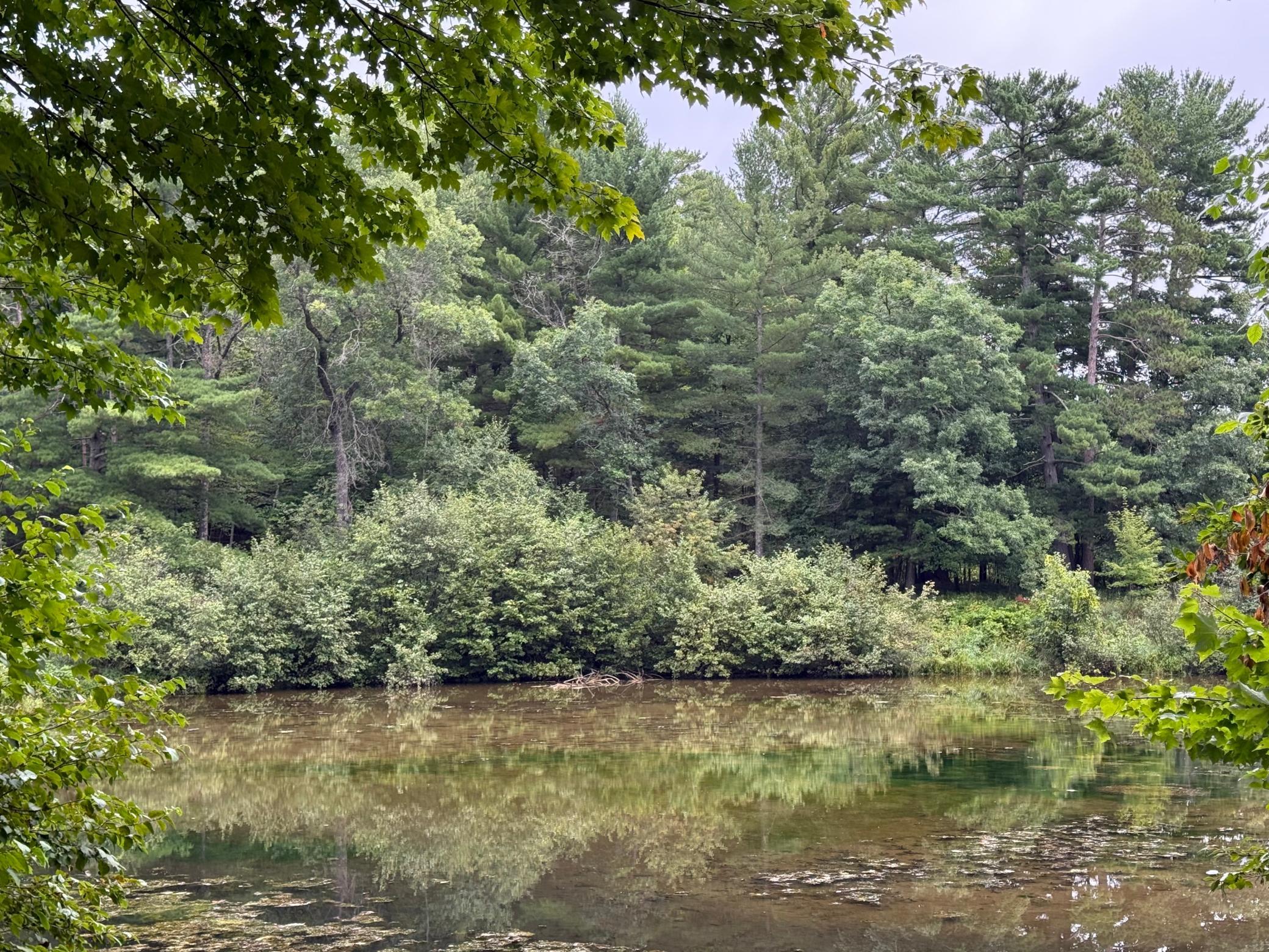 main property photo 26