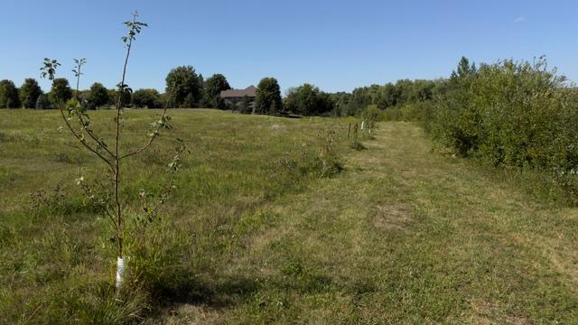 main property photo 19