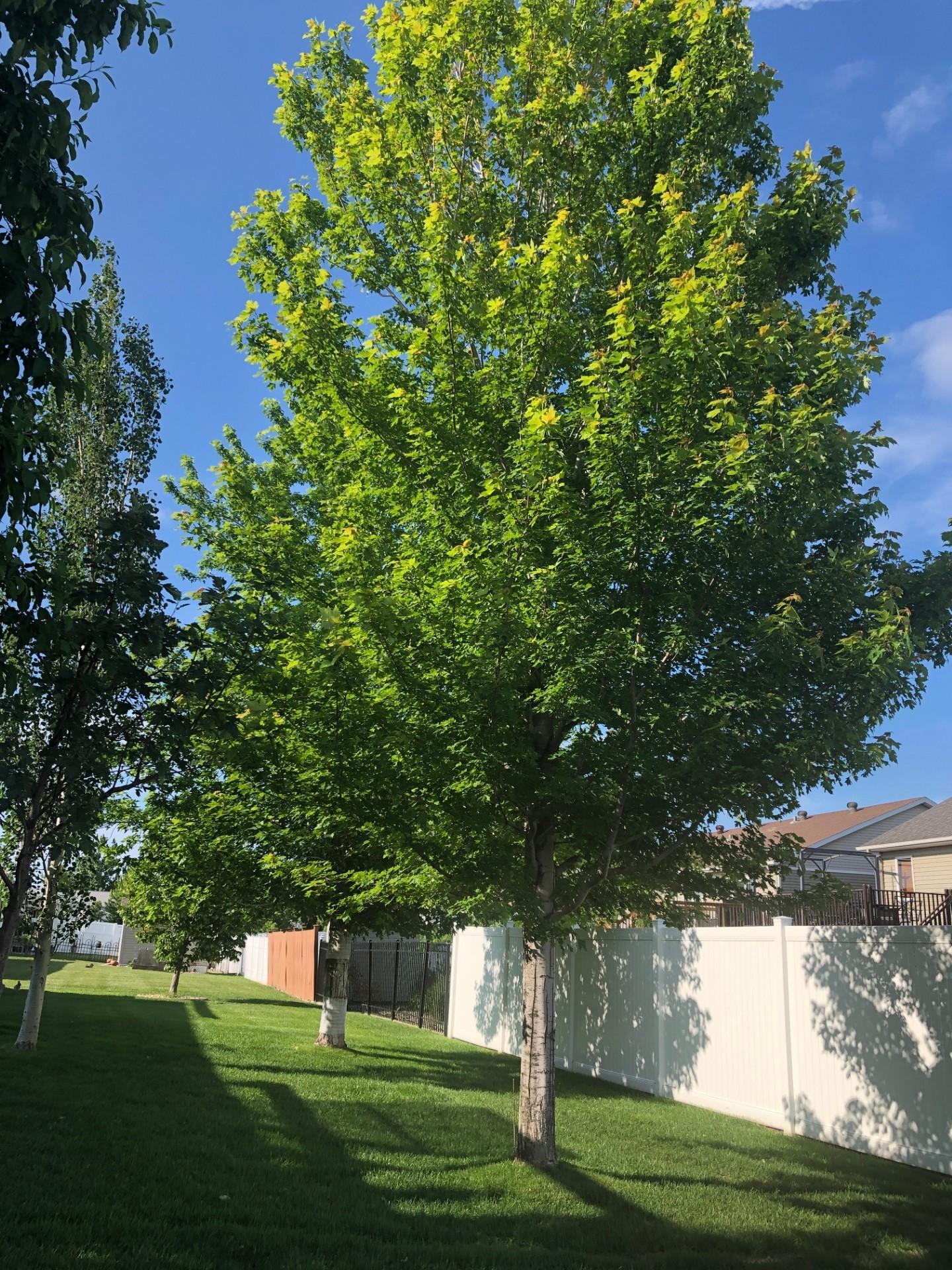 main property photo 44