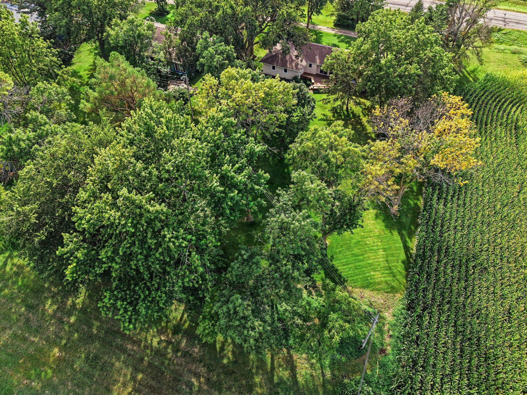 main property photo 31
