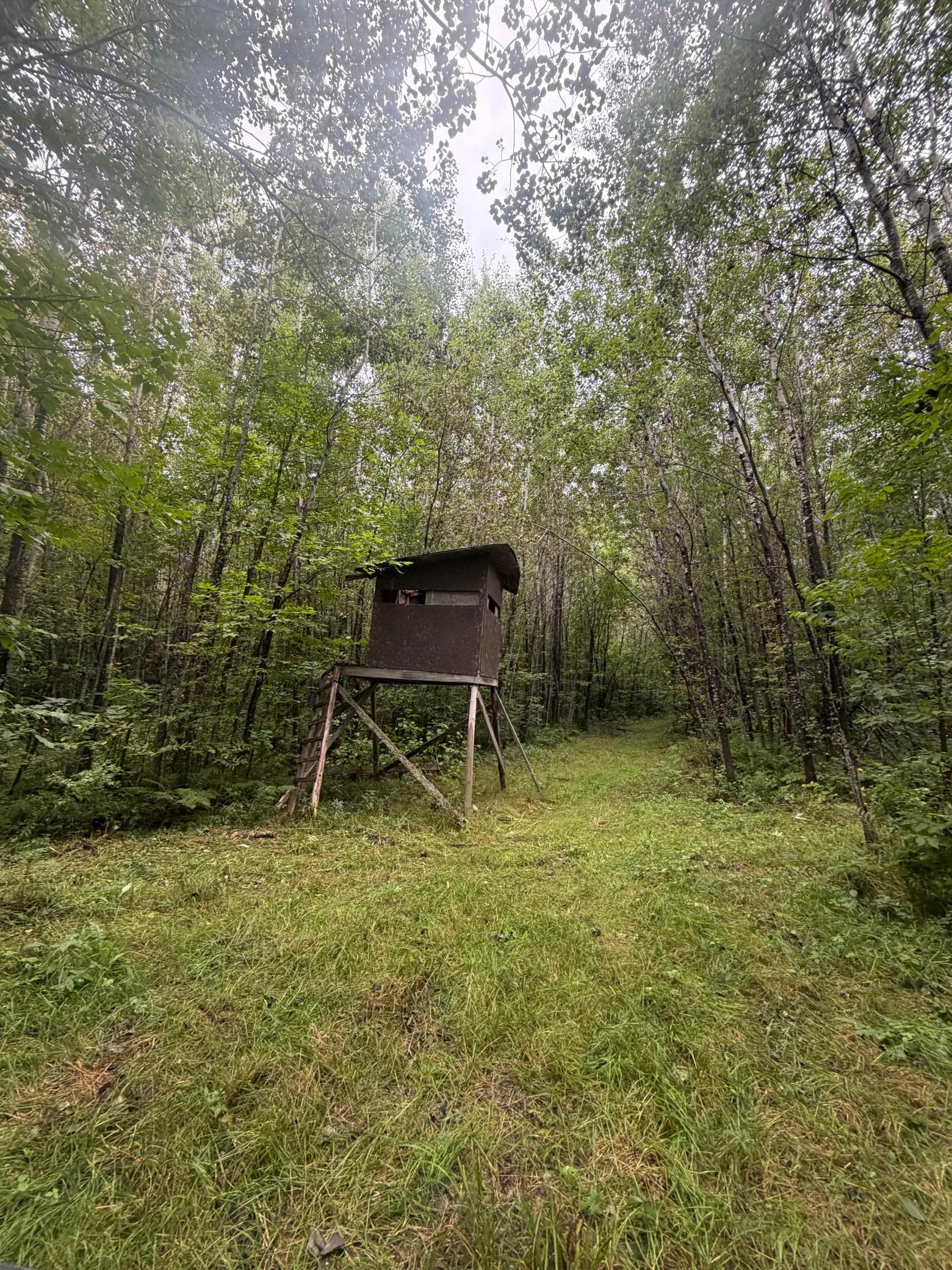 main property photo 56