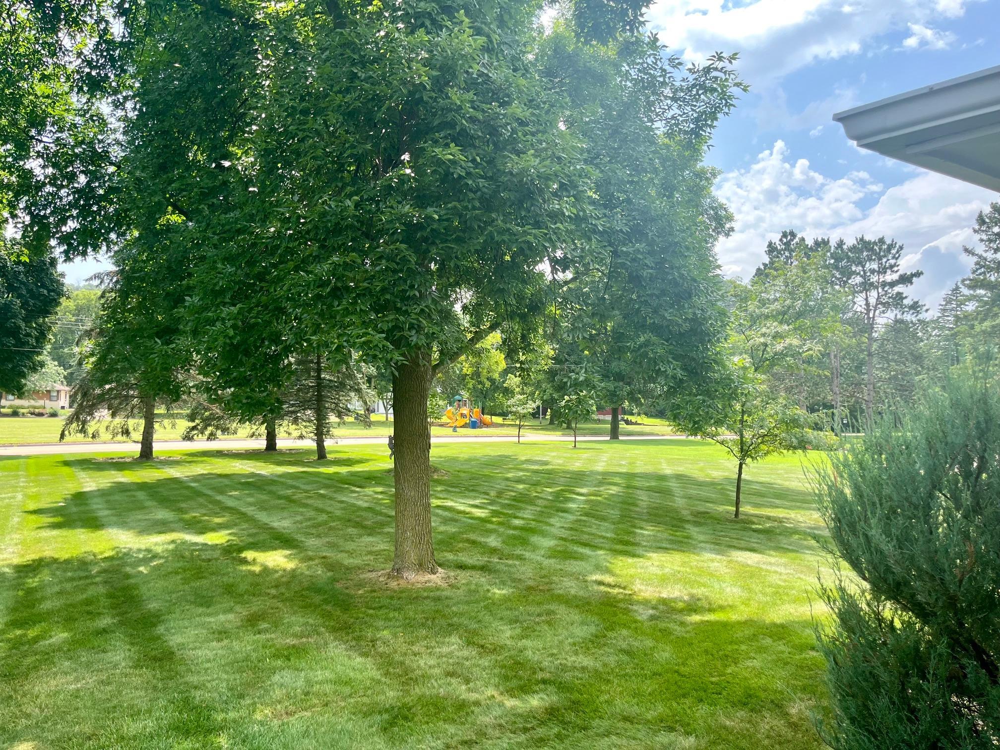main property photo 47