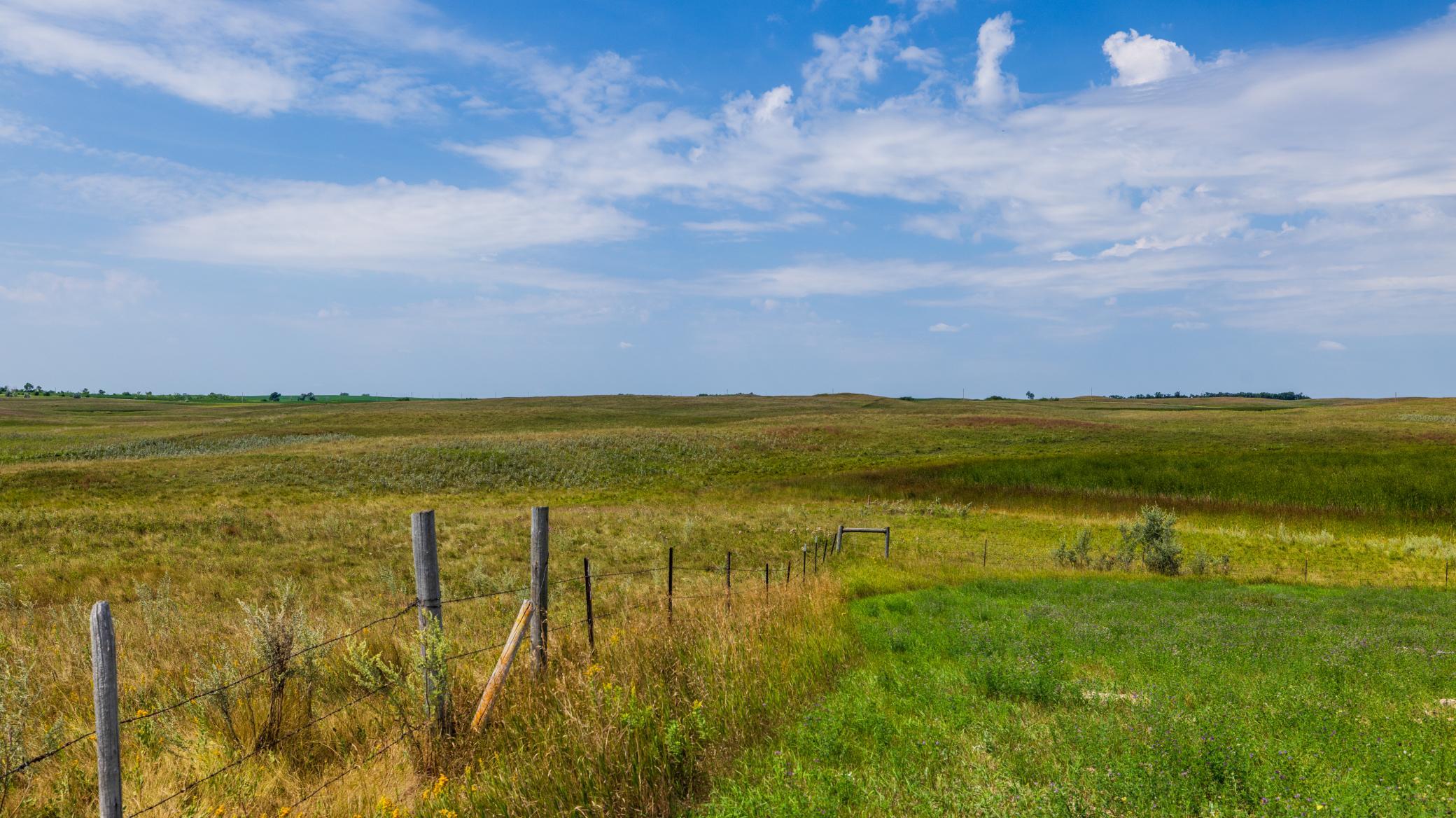 main property photo 63