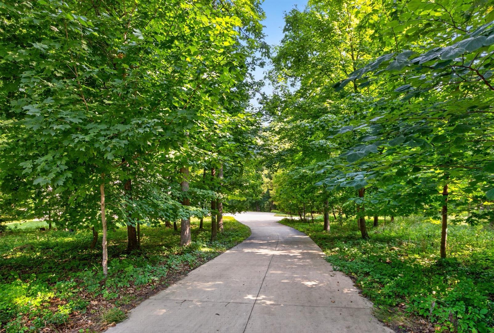 main property photo 61
