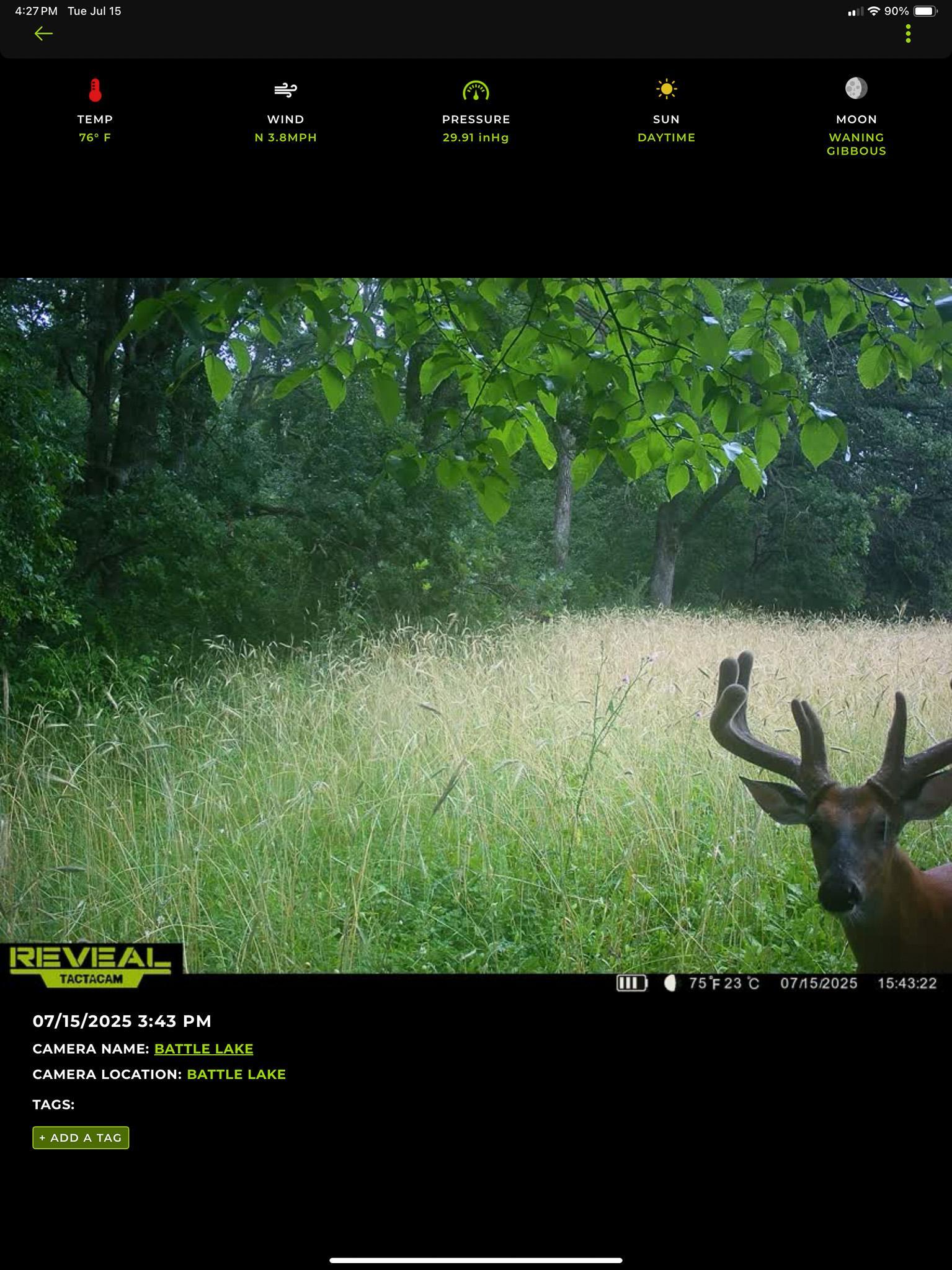 main property photo 101