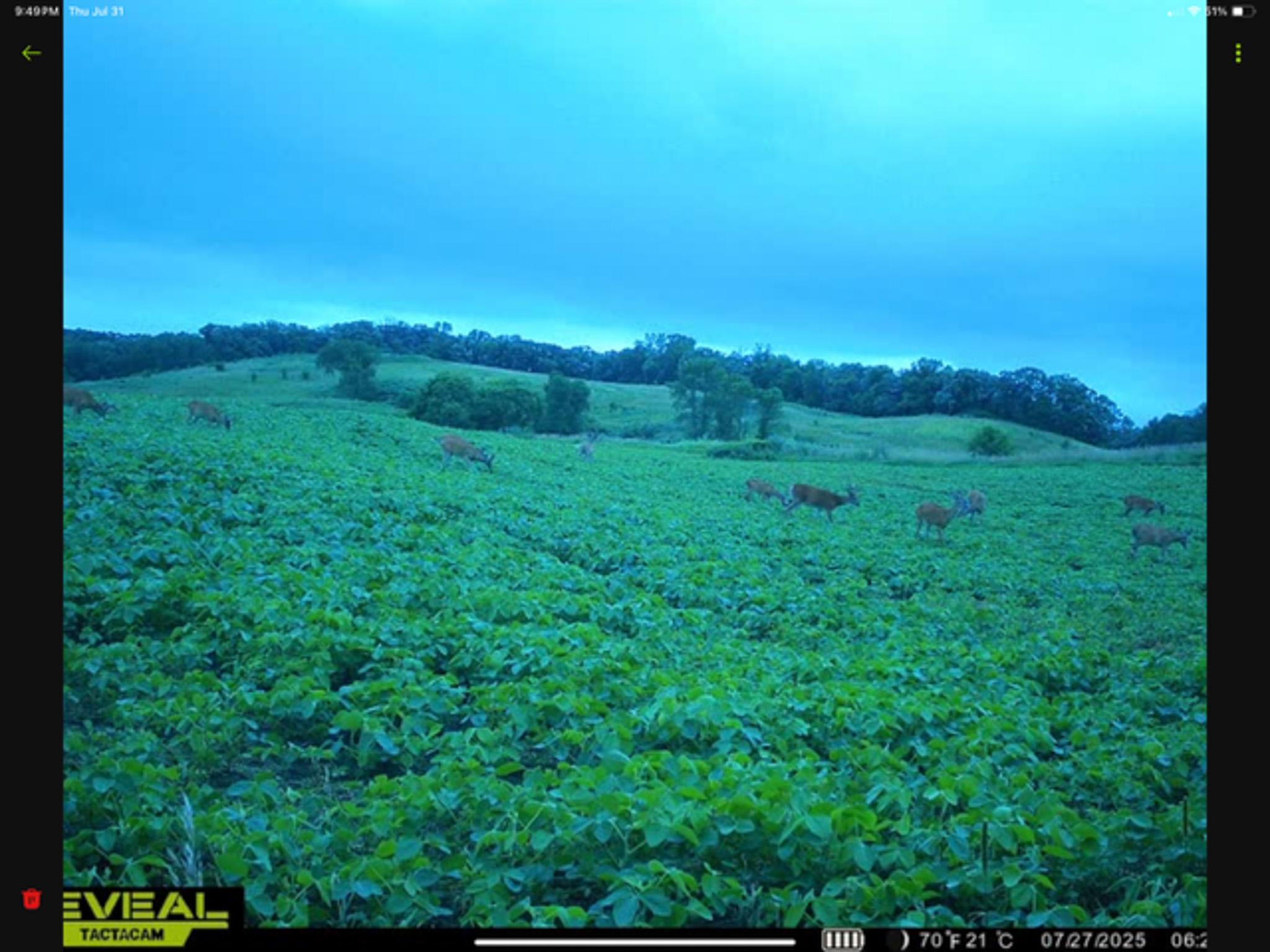 main property photo 104