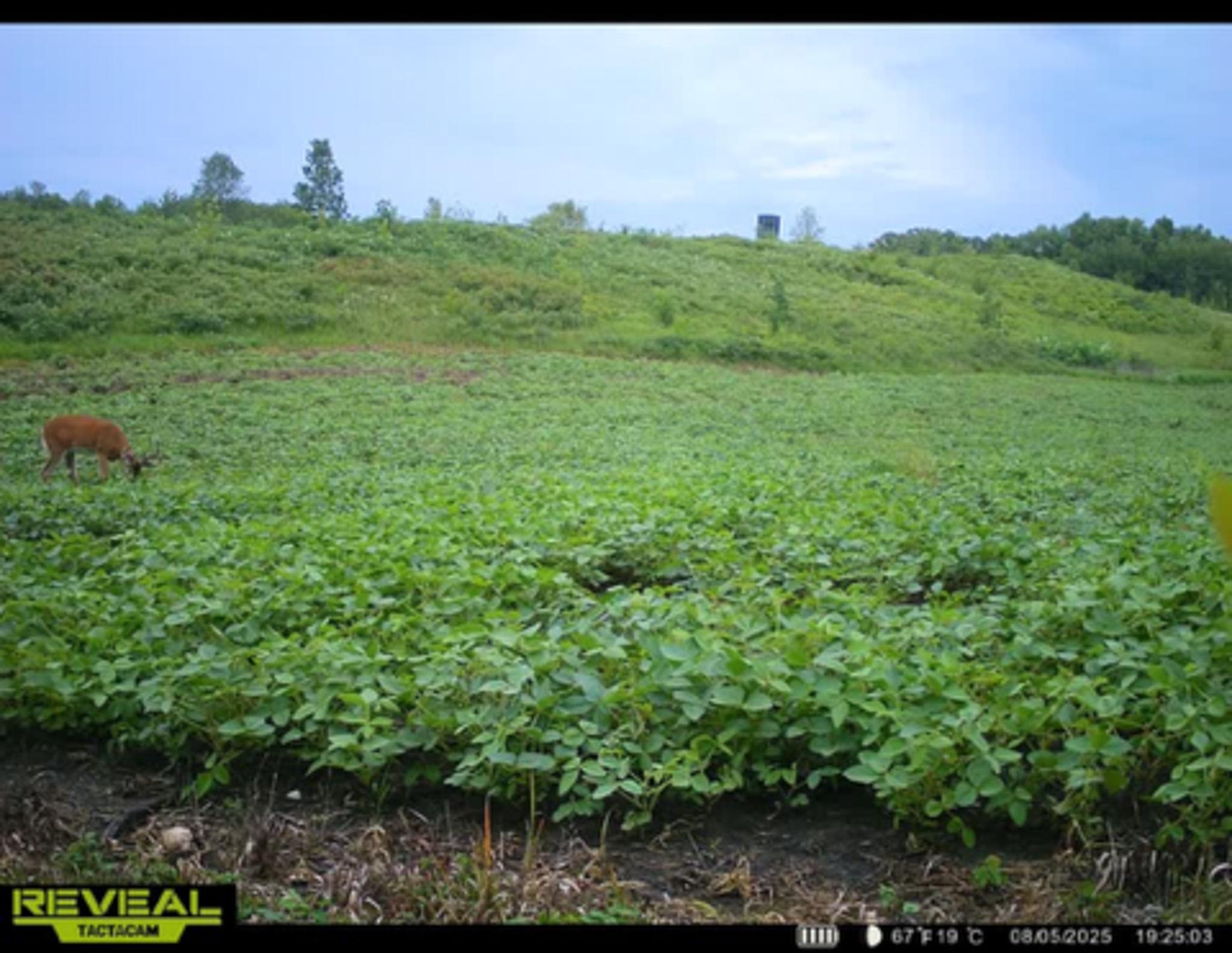 main property photo 108