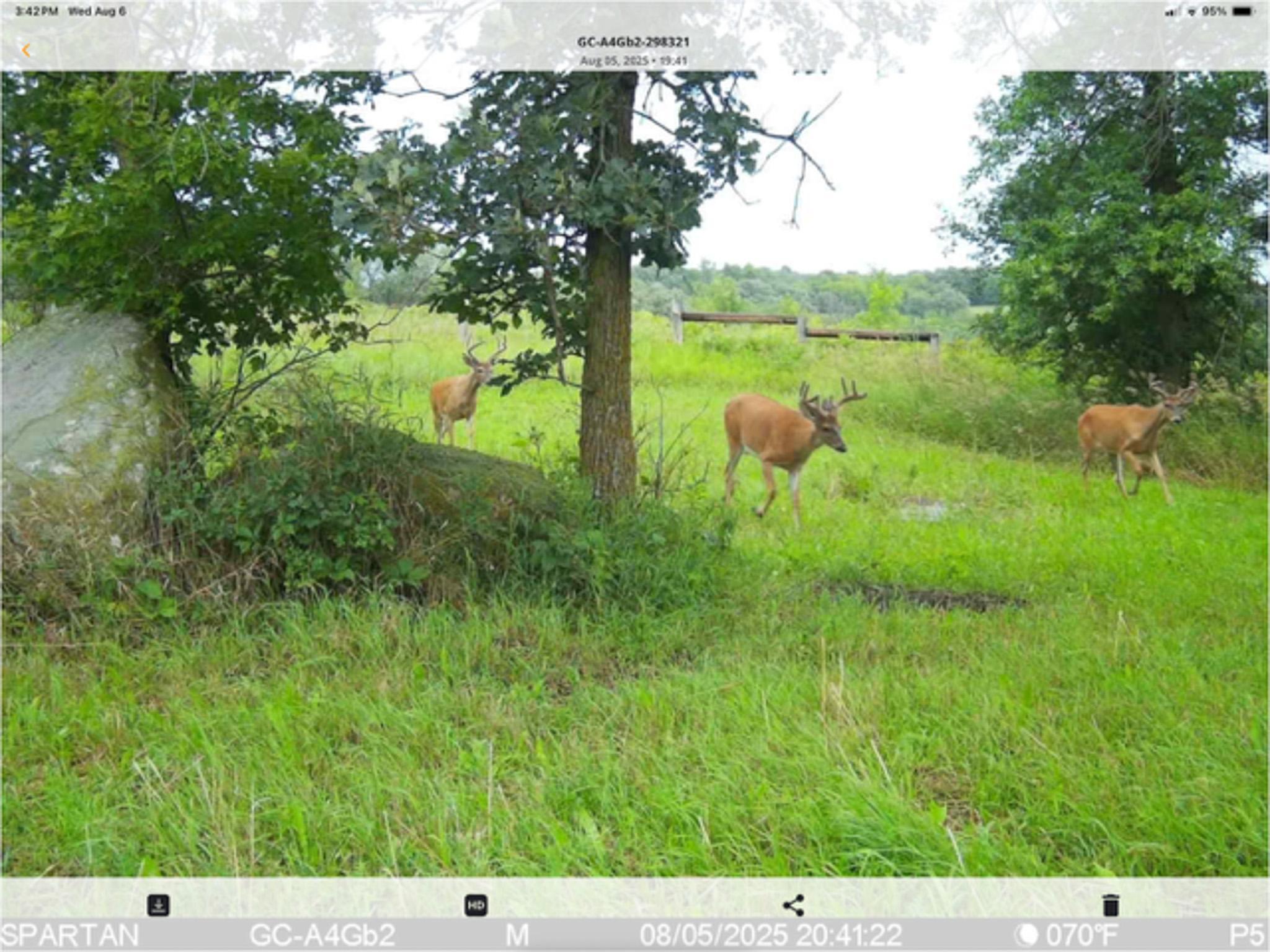 main property photo 109