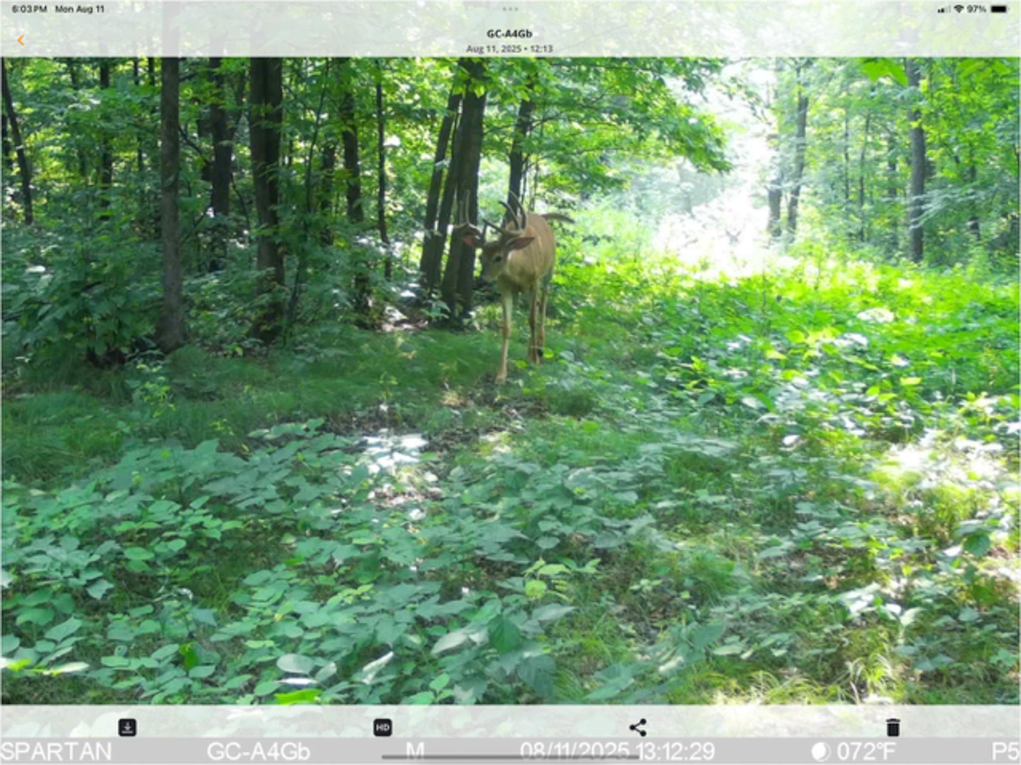 main property photo 112
