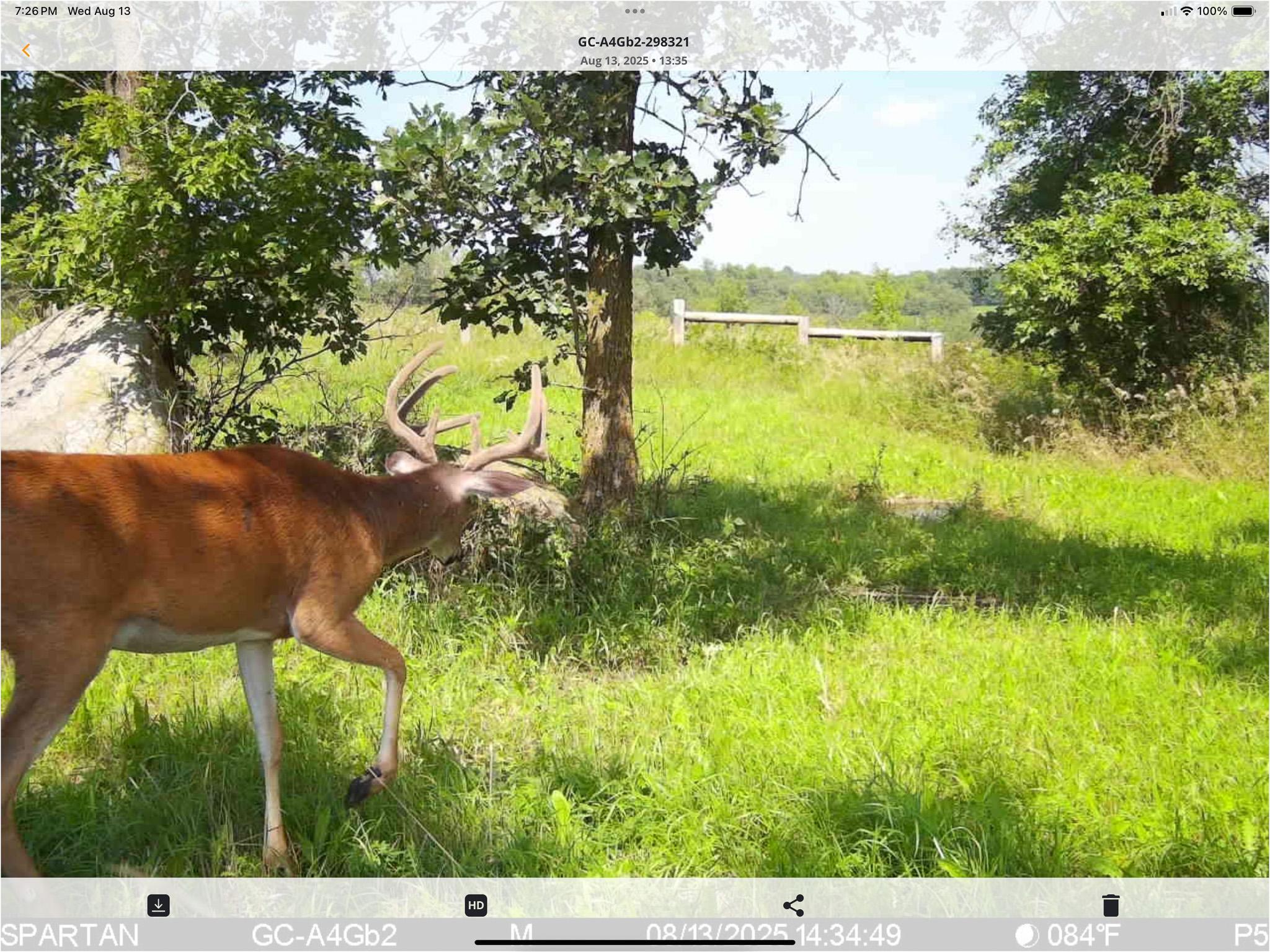 main property photo 114