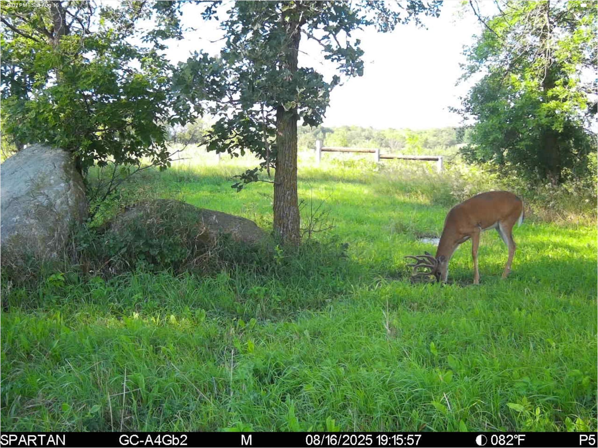 main property photo 115