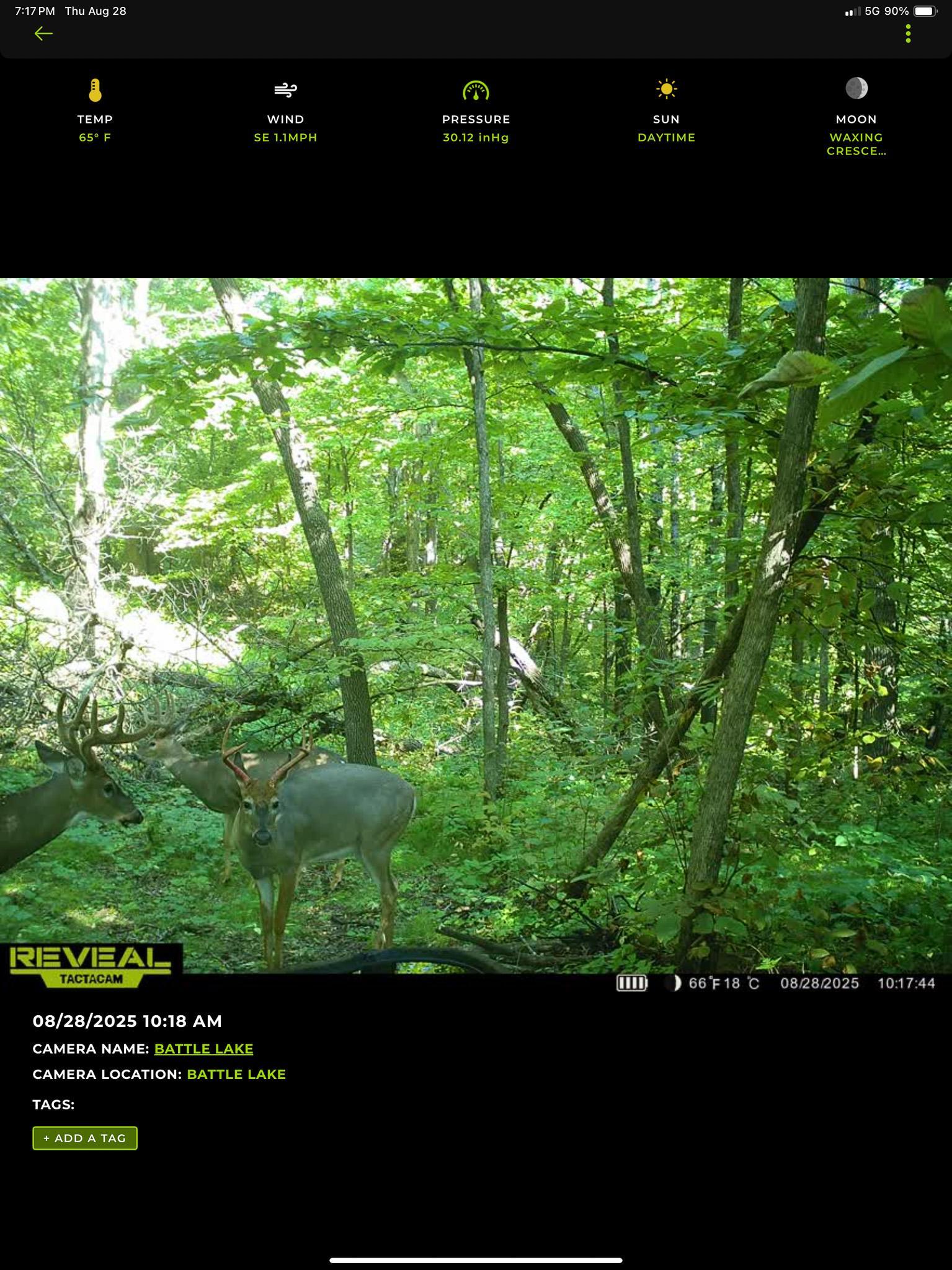 main property photo 123