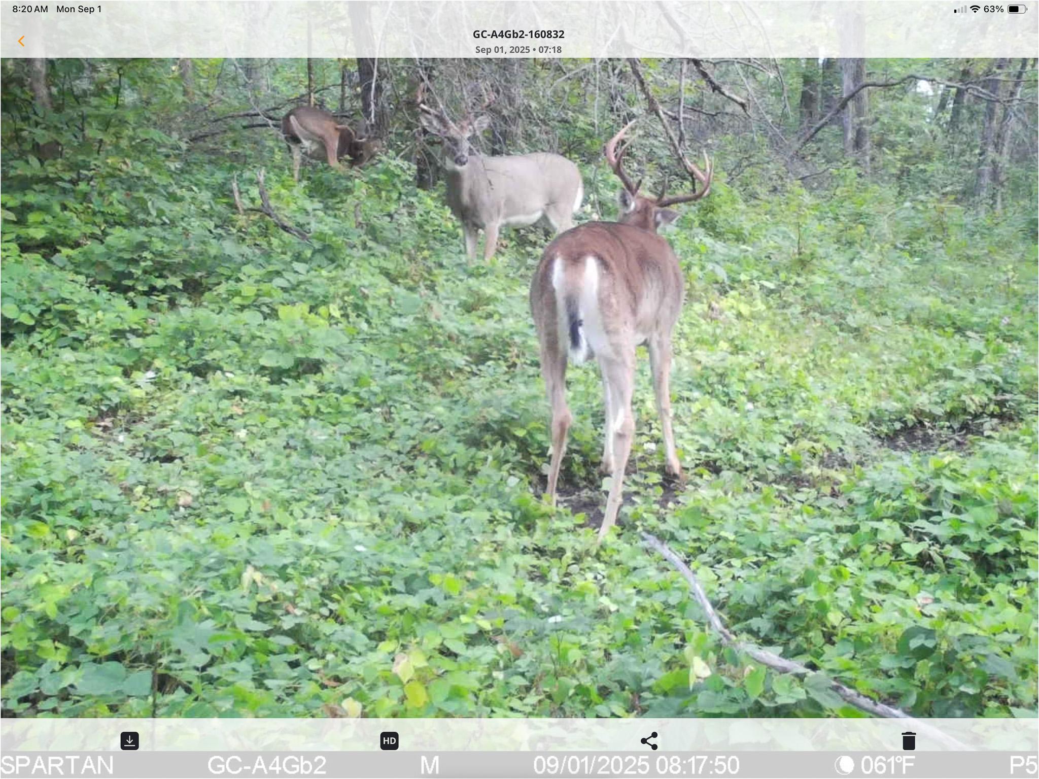 main property photo 125