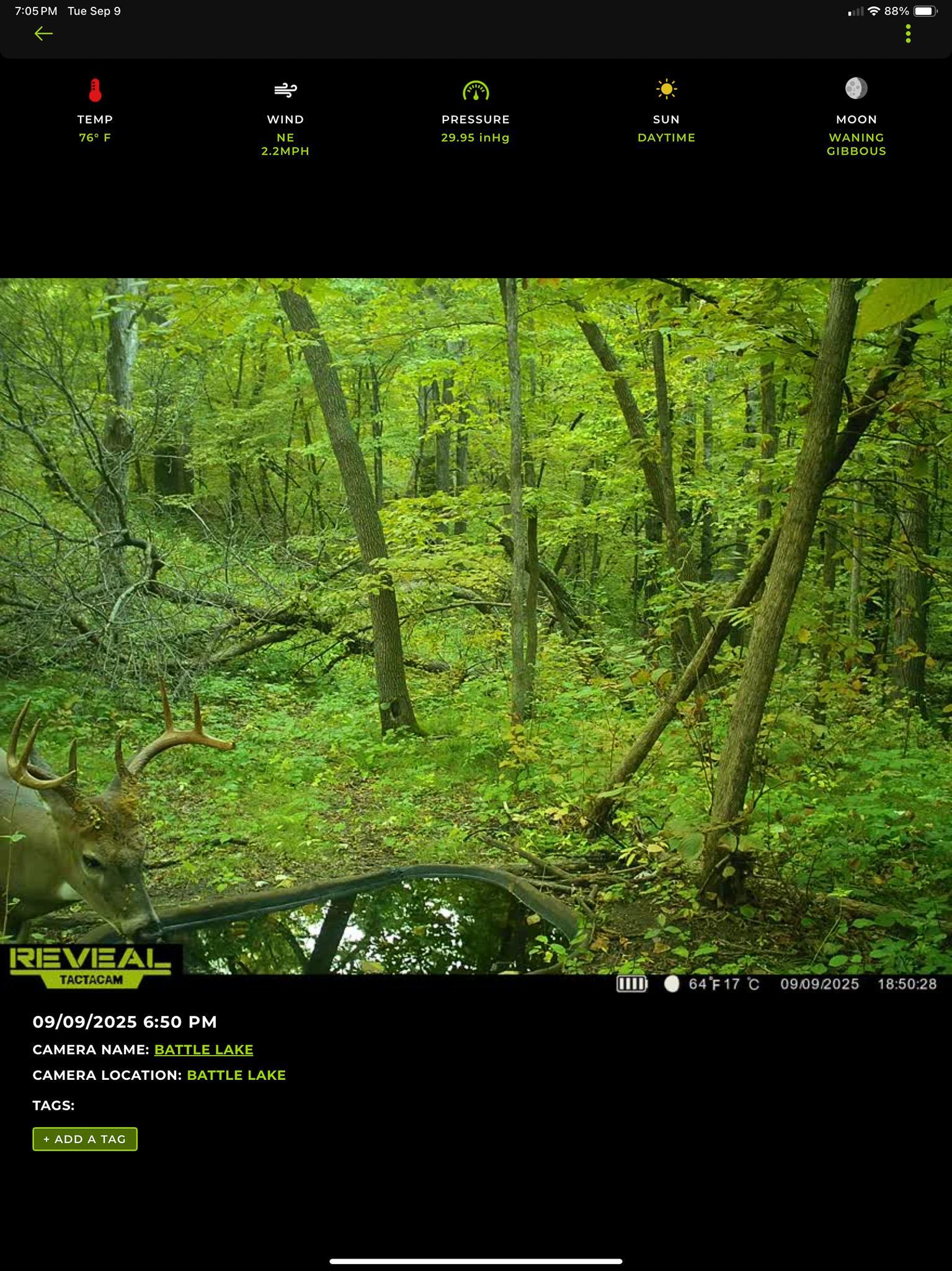 main property photo 126