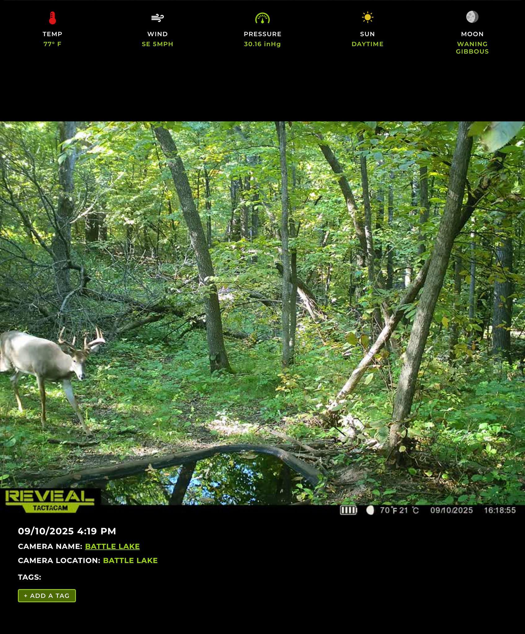 main property photo 127