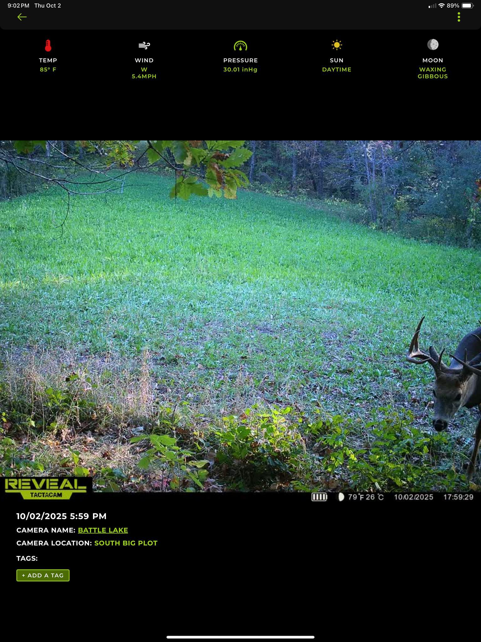 main property photo 135