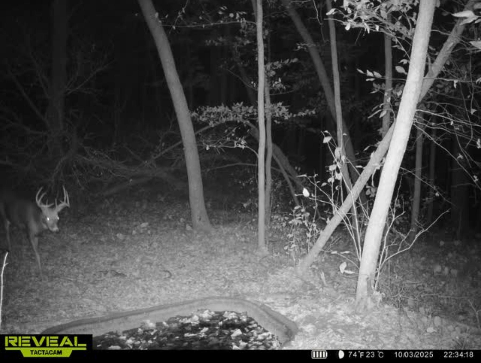 main property photo 137