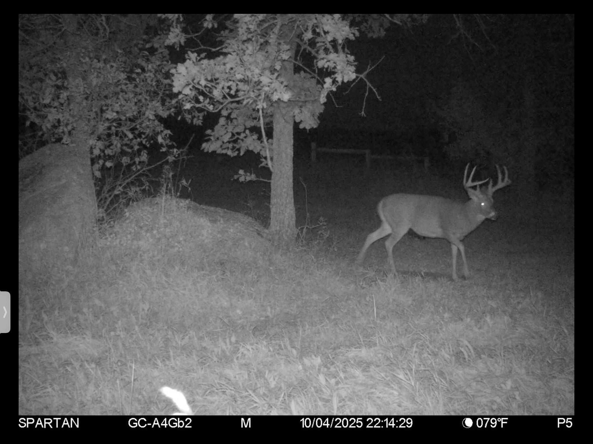 main property photo 138