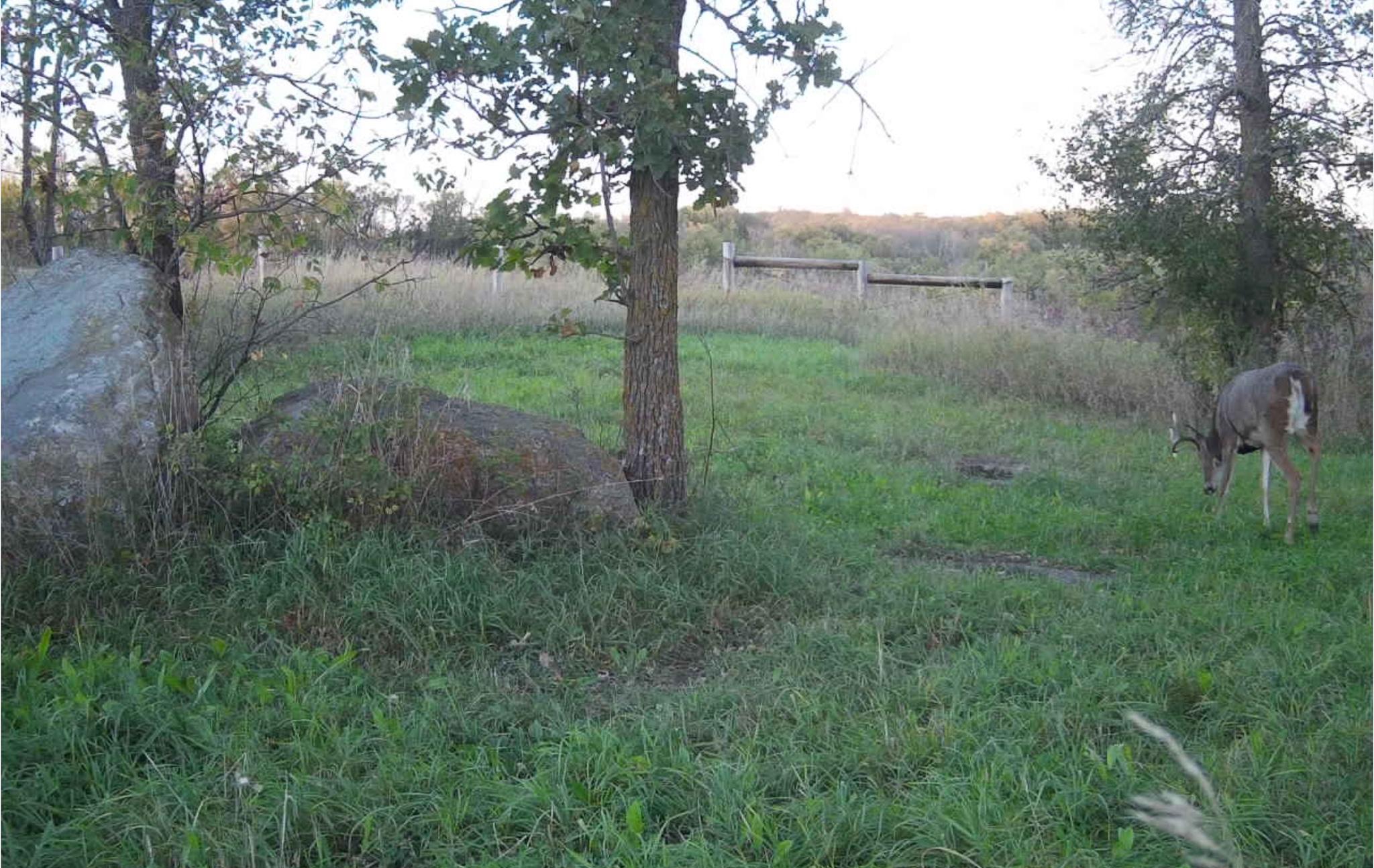 main property photo 139