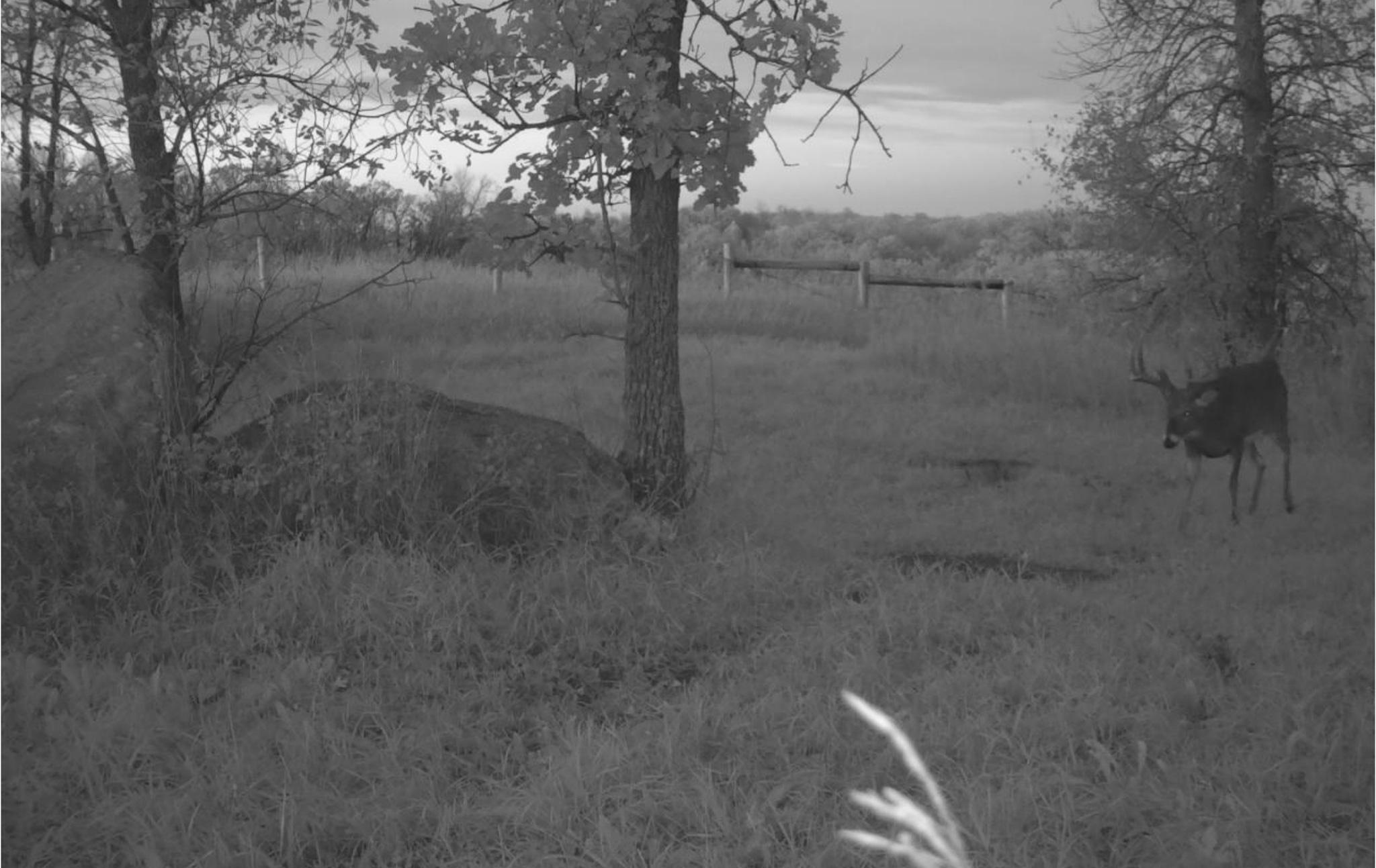 main property photo 140