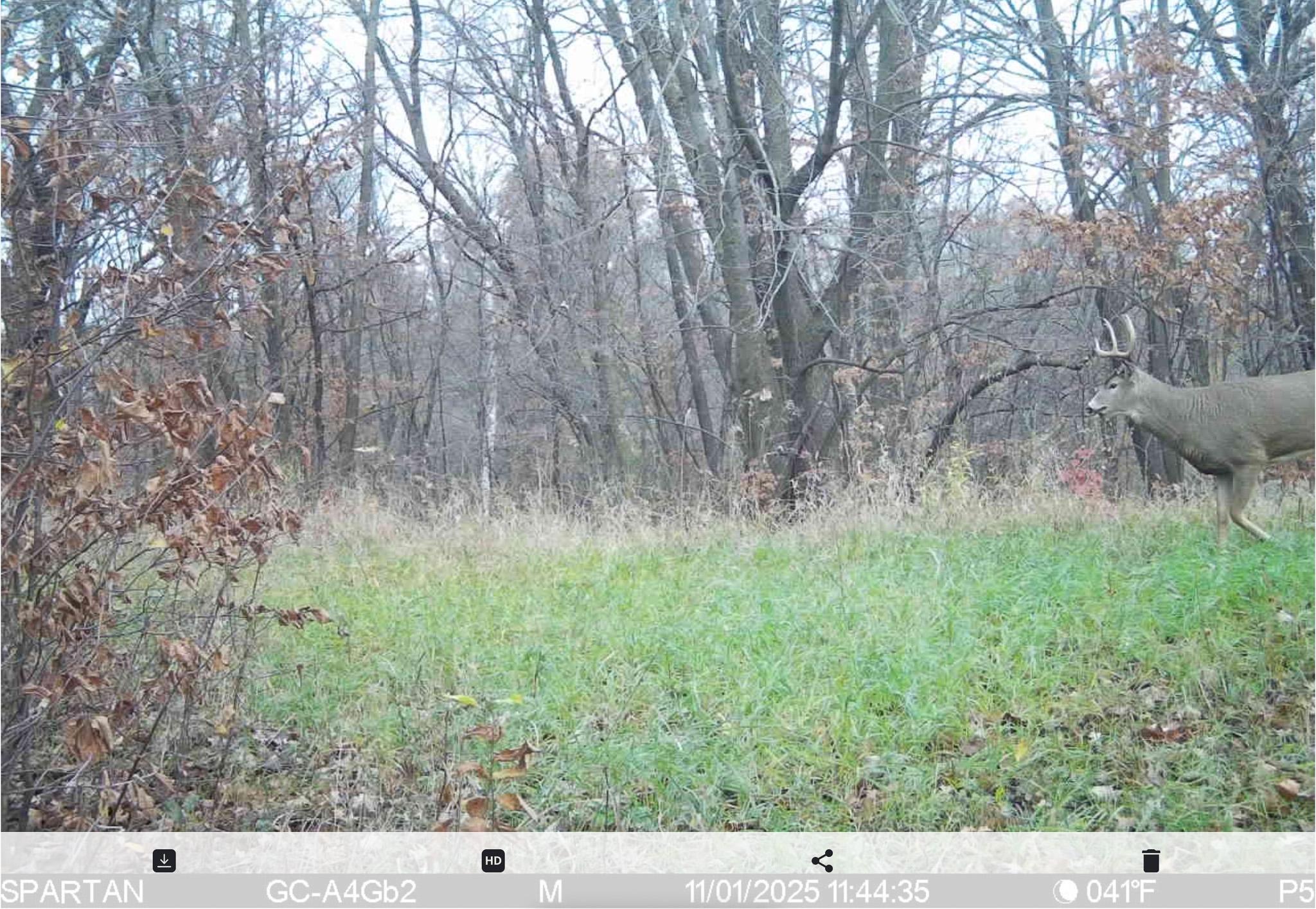 main property photo 146